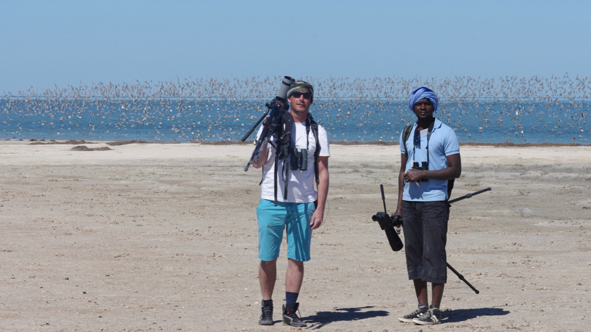 Joost van Bruggen - Flyway-telling