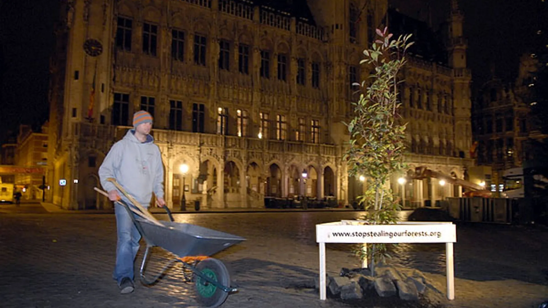 milieudefensie_bomenplanten.jpg