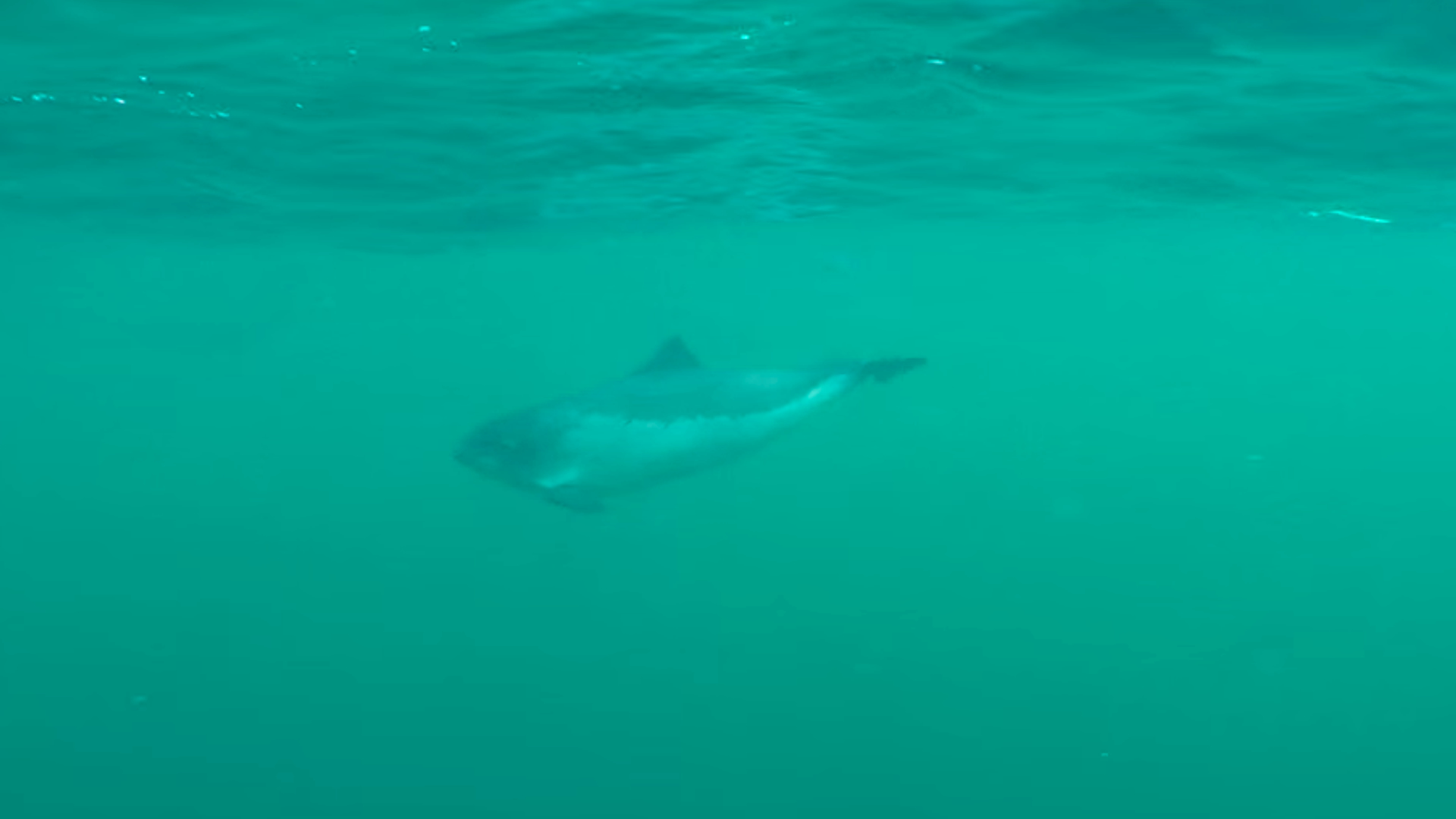 Schermafbeelding_2015-11-10_om_10.07.00.png