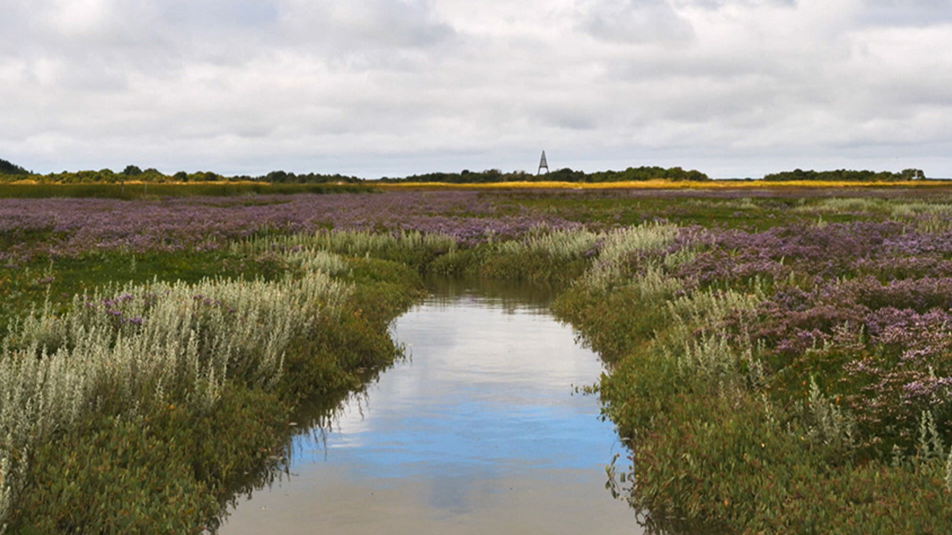VV_Afl17_Schiermonnikoog to pt_frame_2308