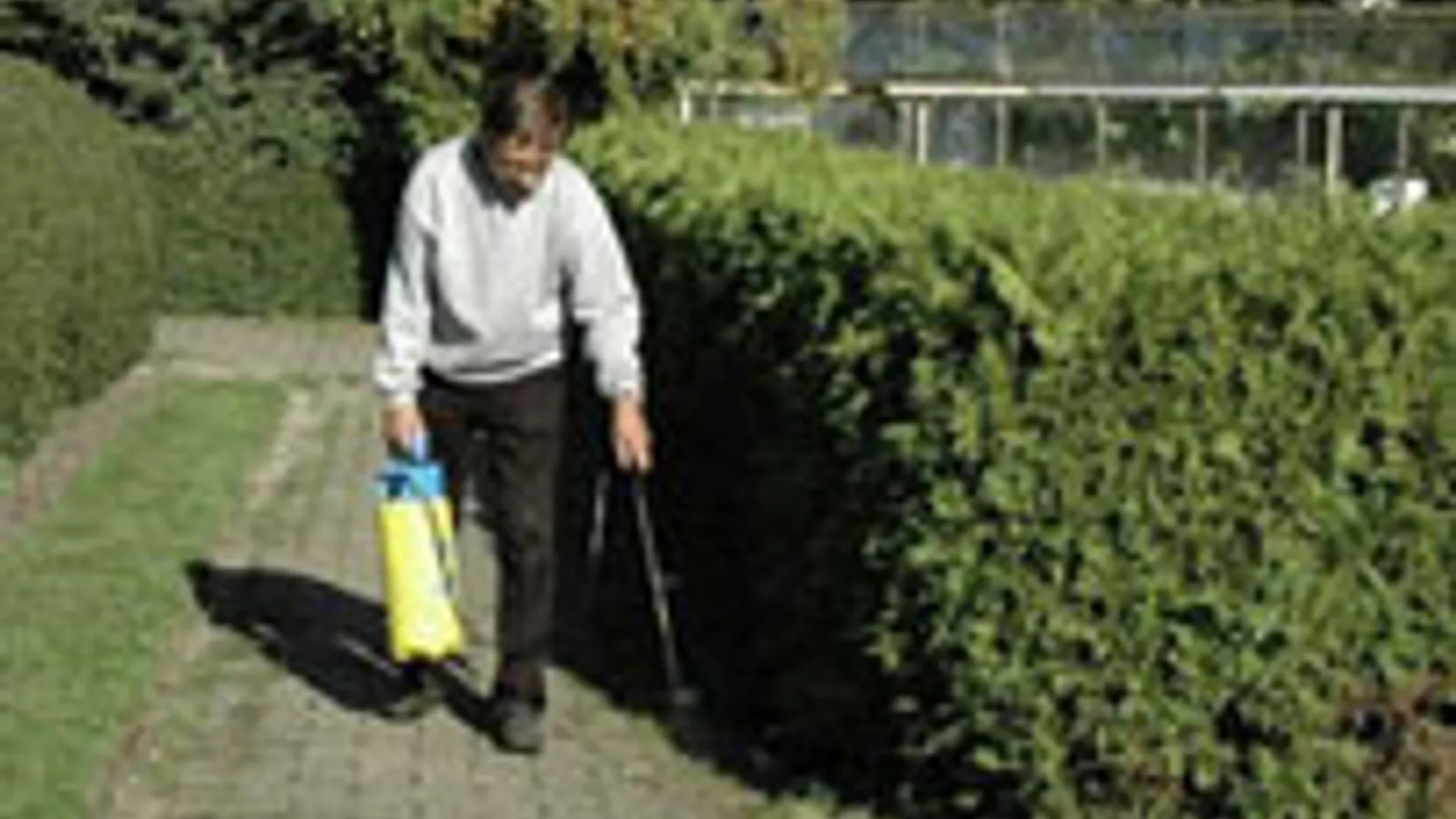 niet-chemische-onkruidbestr.jpg