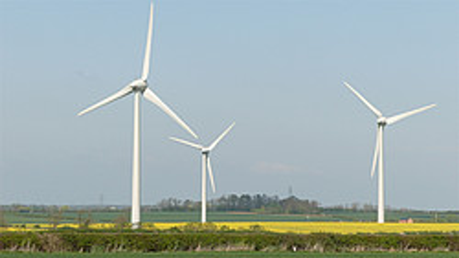 2c003221e7.jpg