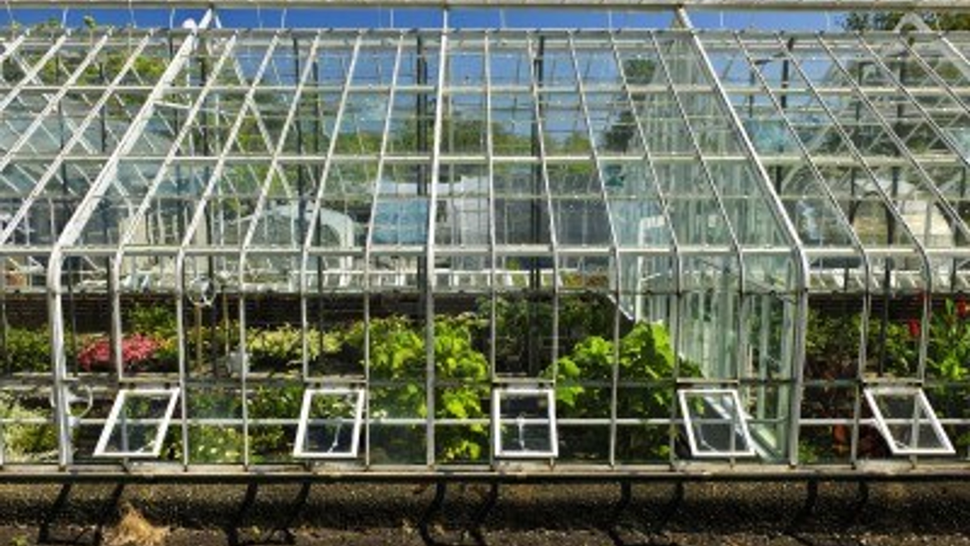 9431937-grote-glazen-kas-of-broeikas-gebouw-buitenkant-met-planten.jpg