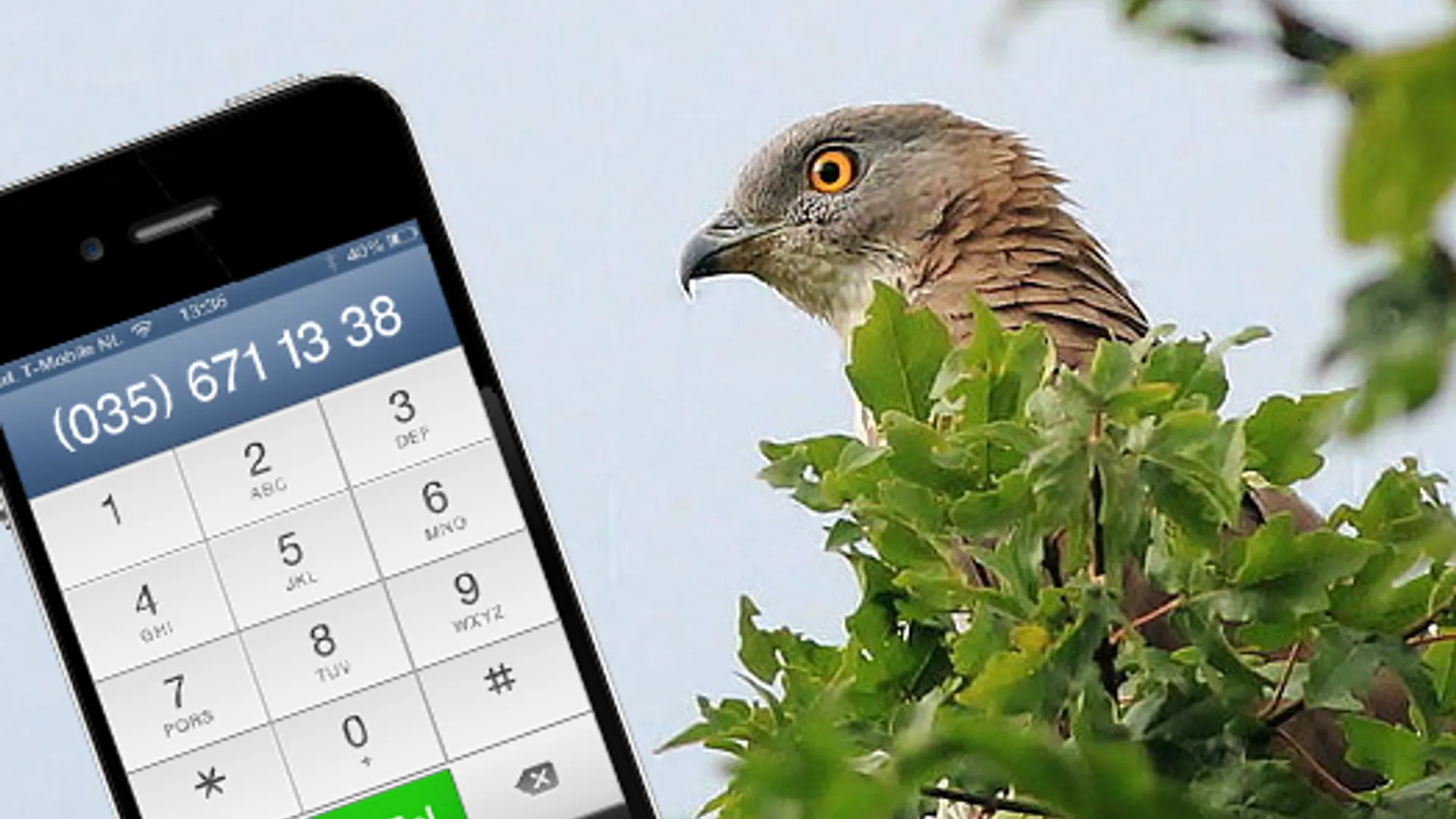 wespendief_met_telefoon.jpg