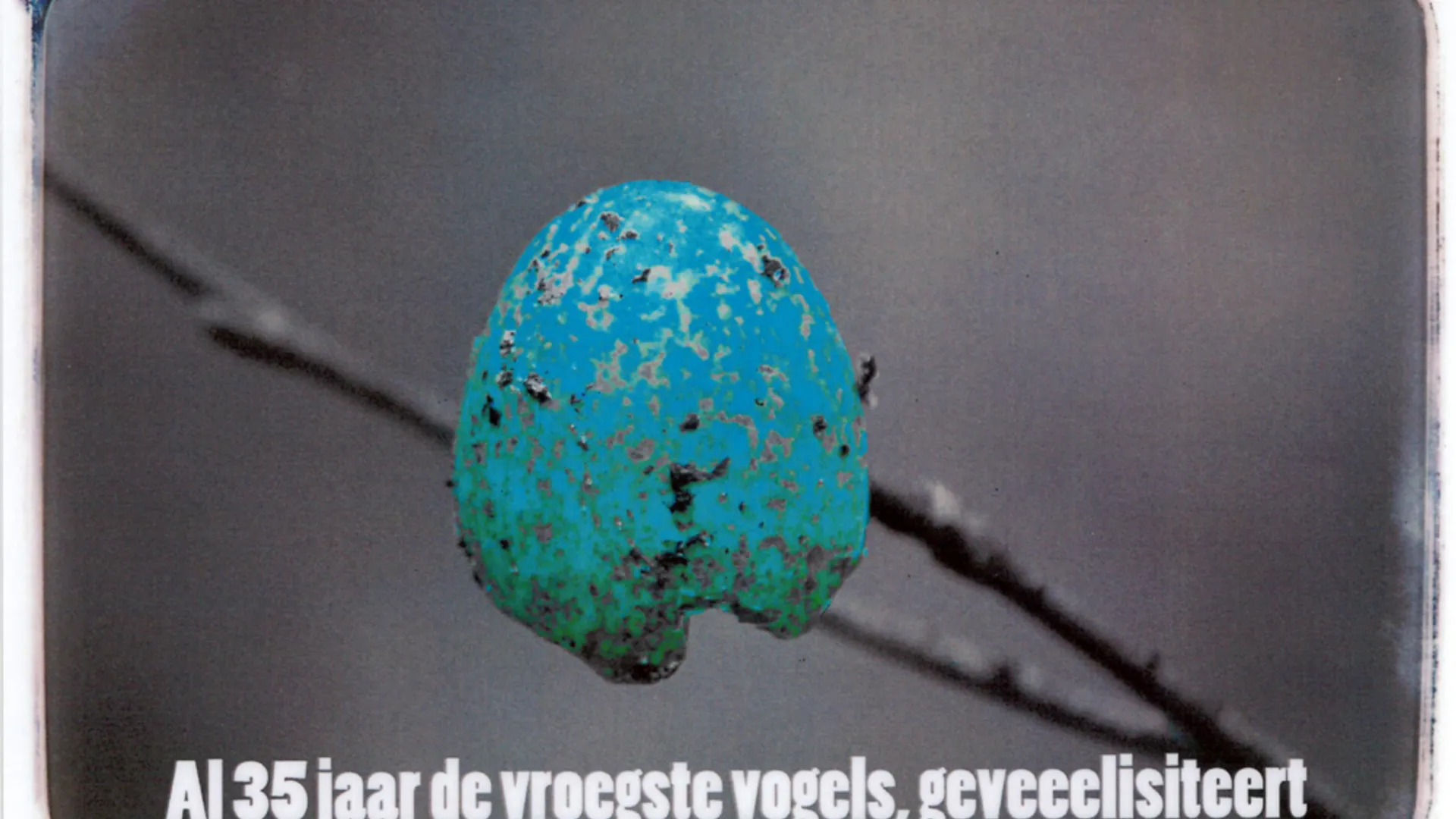 felicitatie_1.jpg