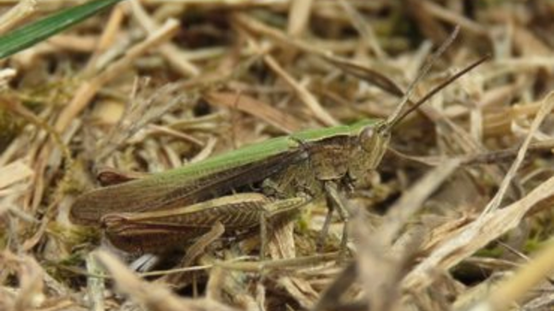 21818b9d-dec7-441e-a102-3ada5e40f2c0.jpg&w=370