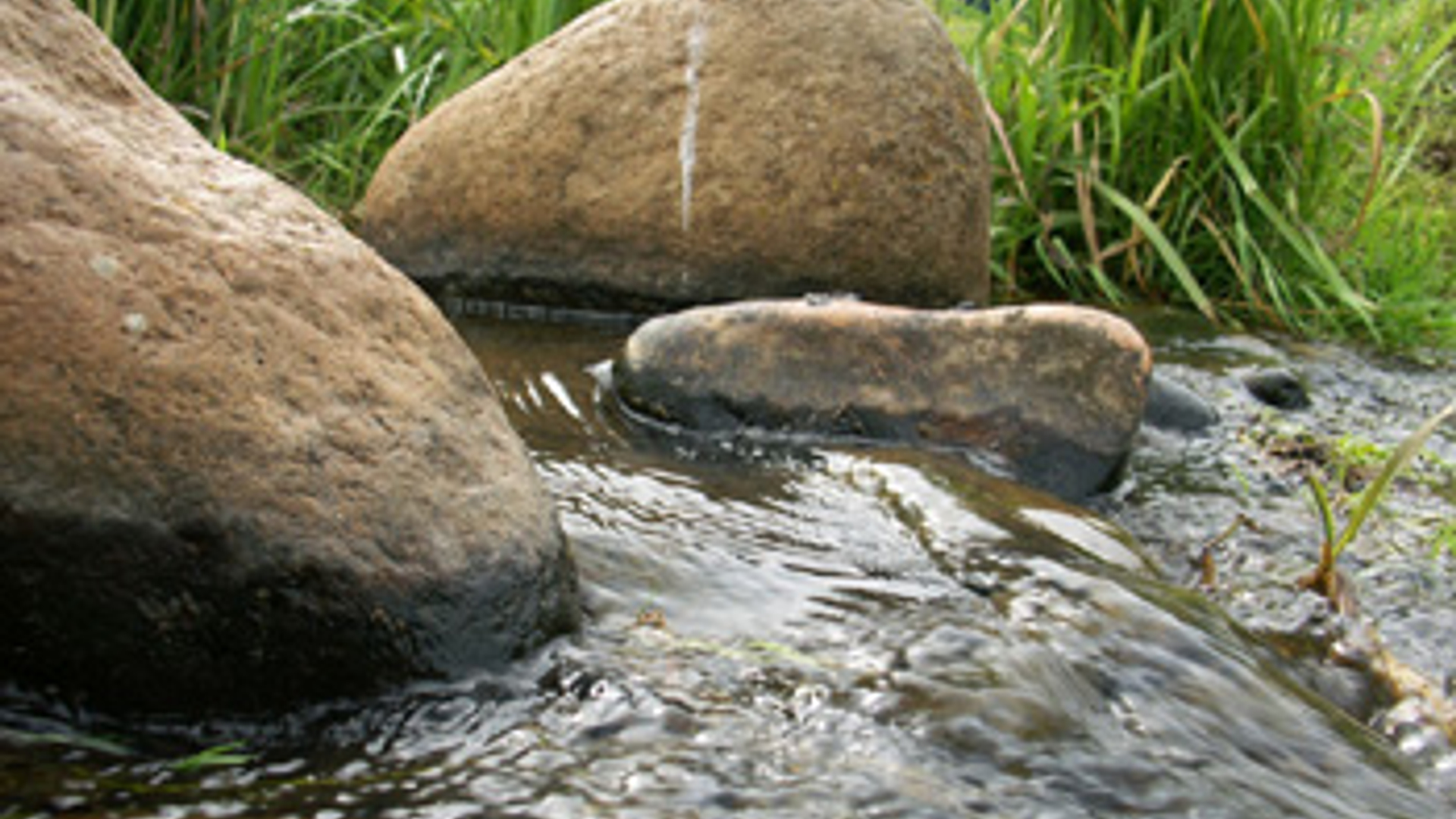 vv_newsimg_268717.jpg