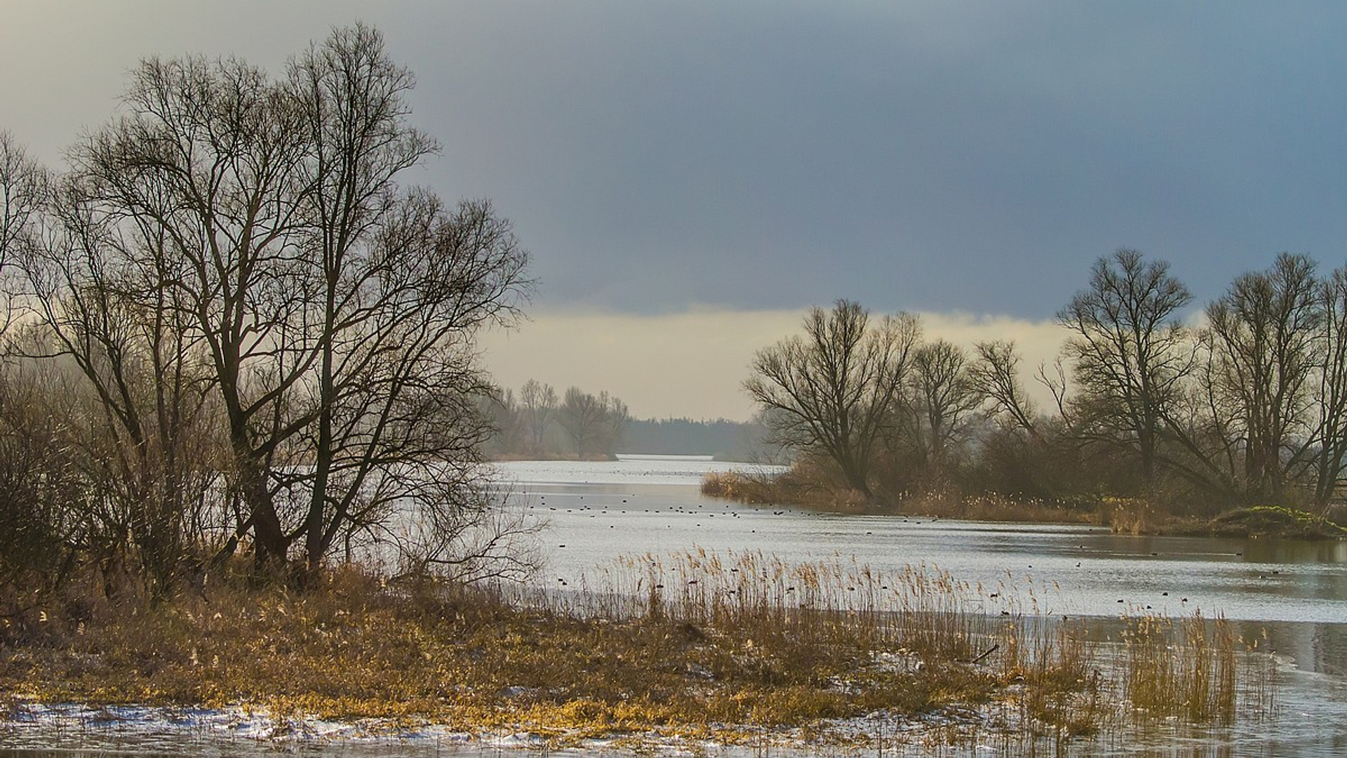 biesbosch_edwinhoek.jpg