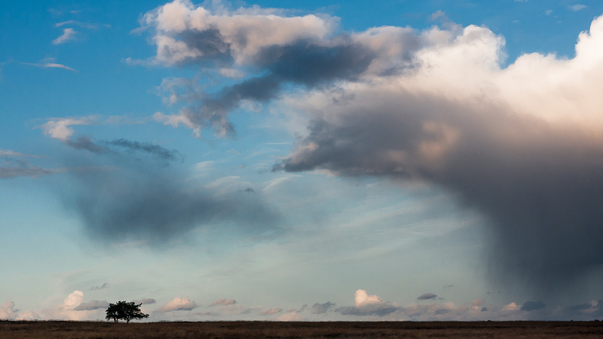 hogeveluwe_02.jpg