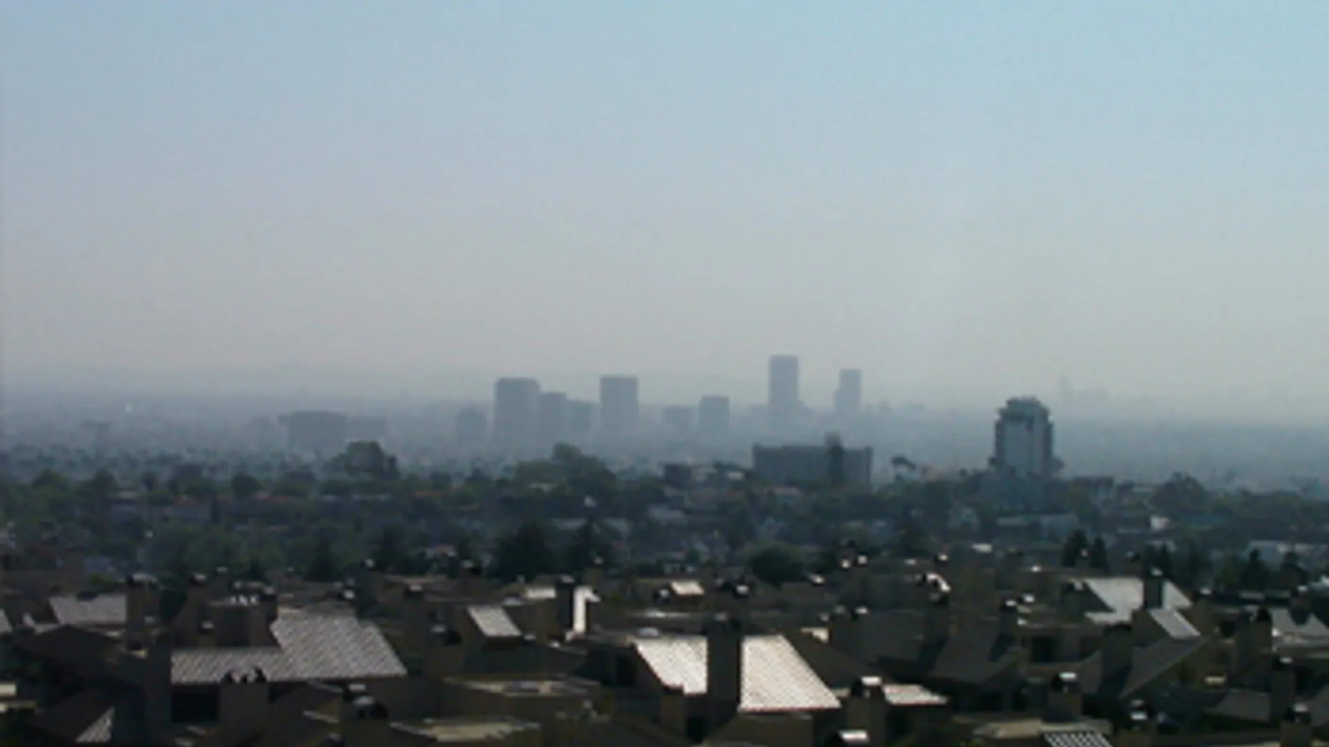 smog_17.jpg
