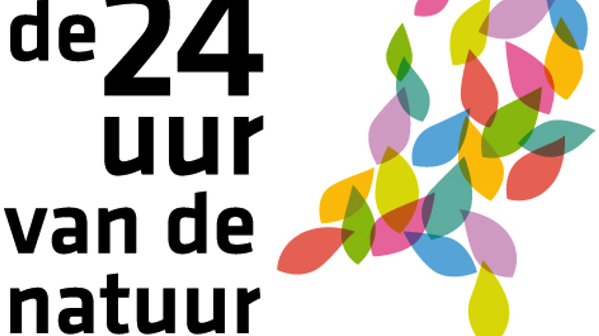 logo_24_uur.jpg