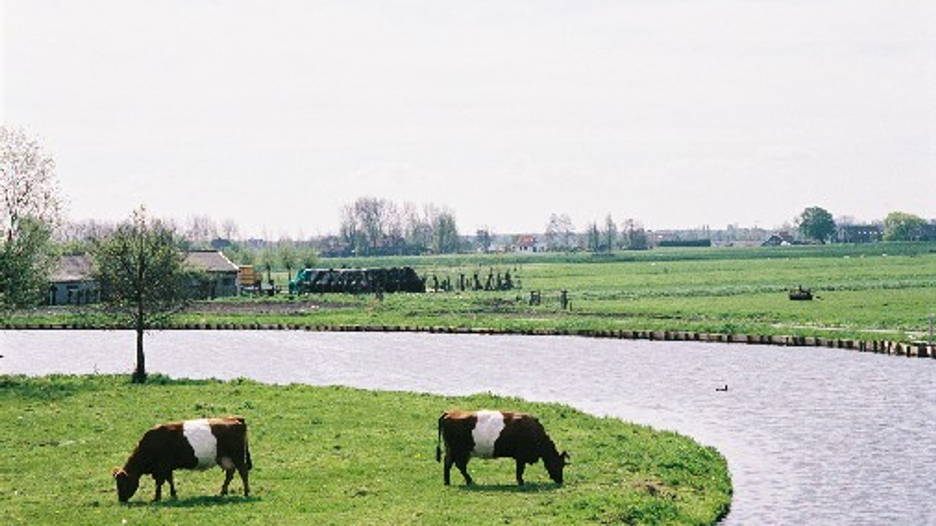 zuidplaspolder_01.jpg