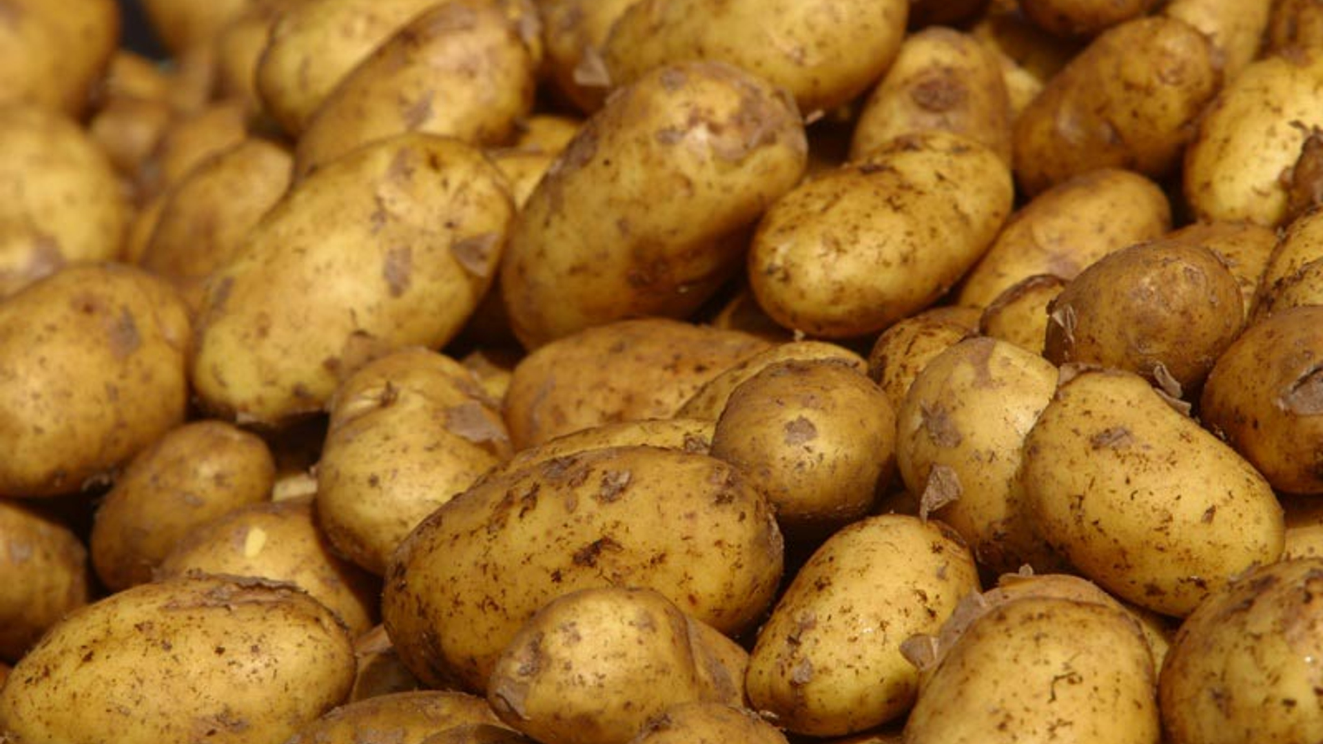 aardappelen_02.jpg