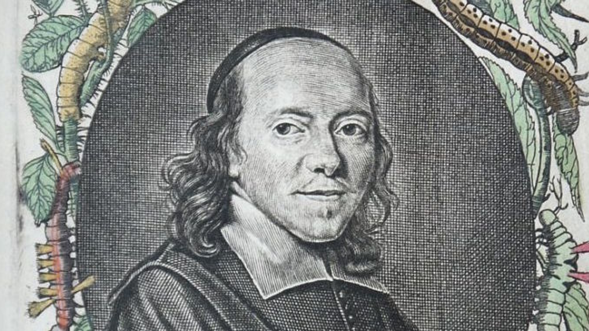 johannes_goedaert