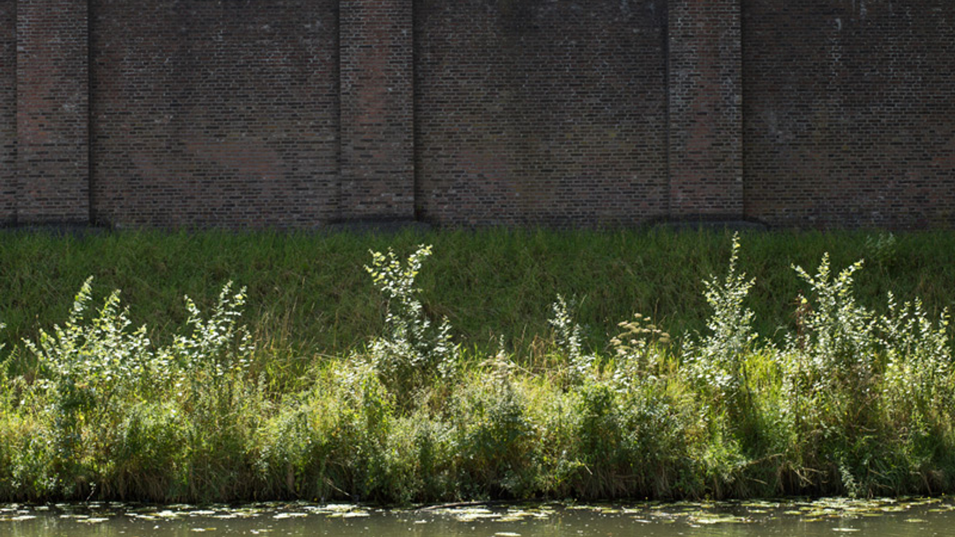 Zaailing Utrecht