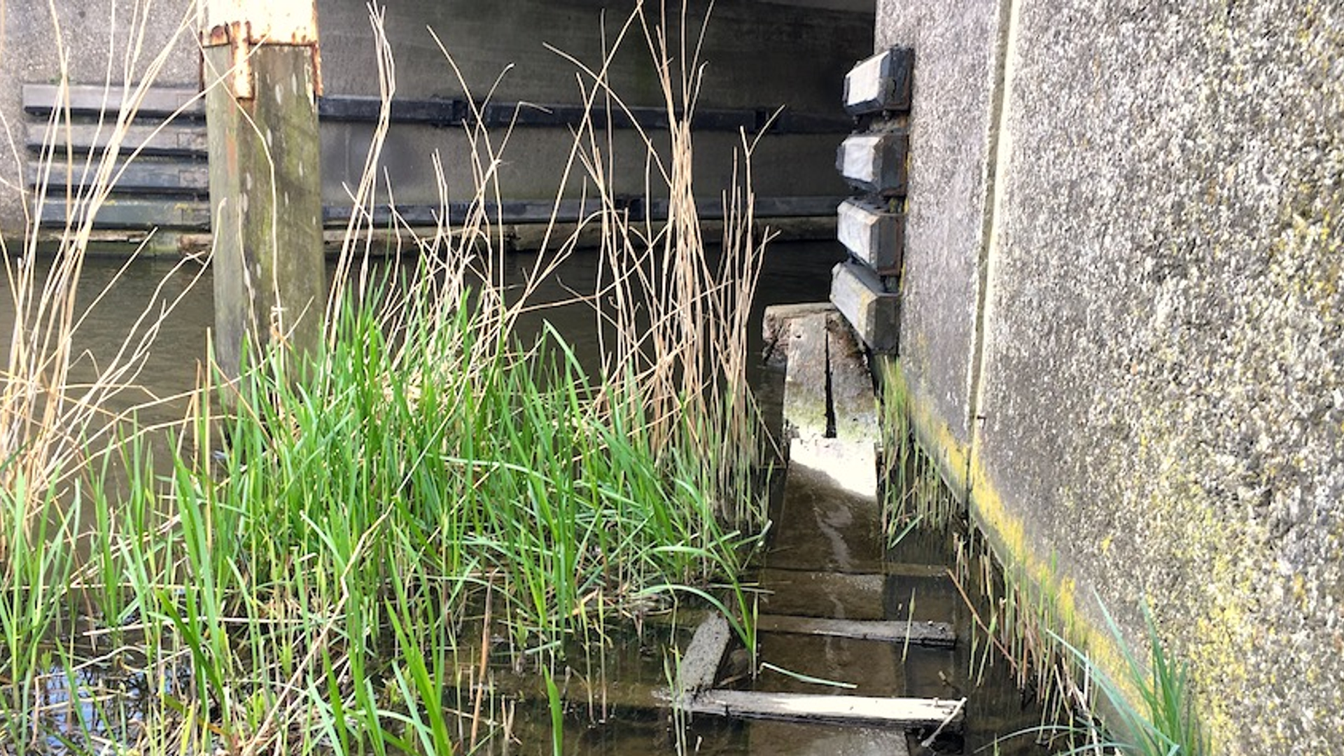 faunapassage Noord-Holland