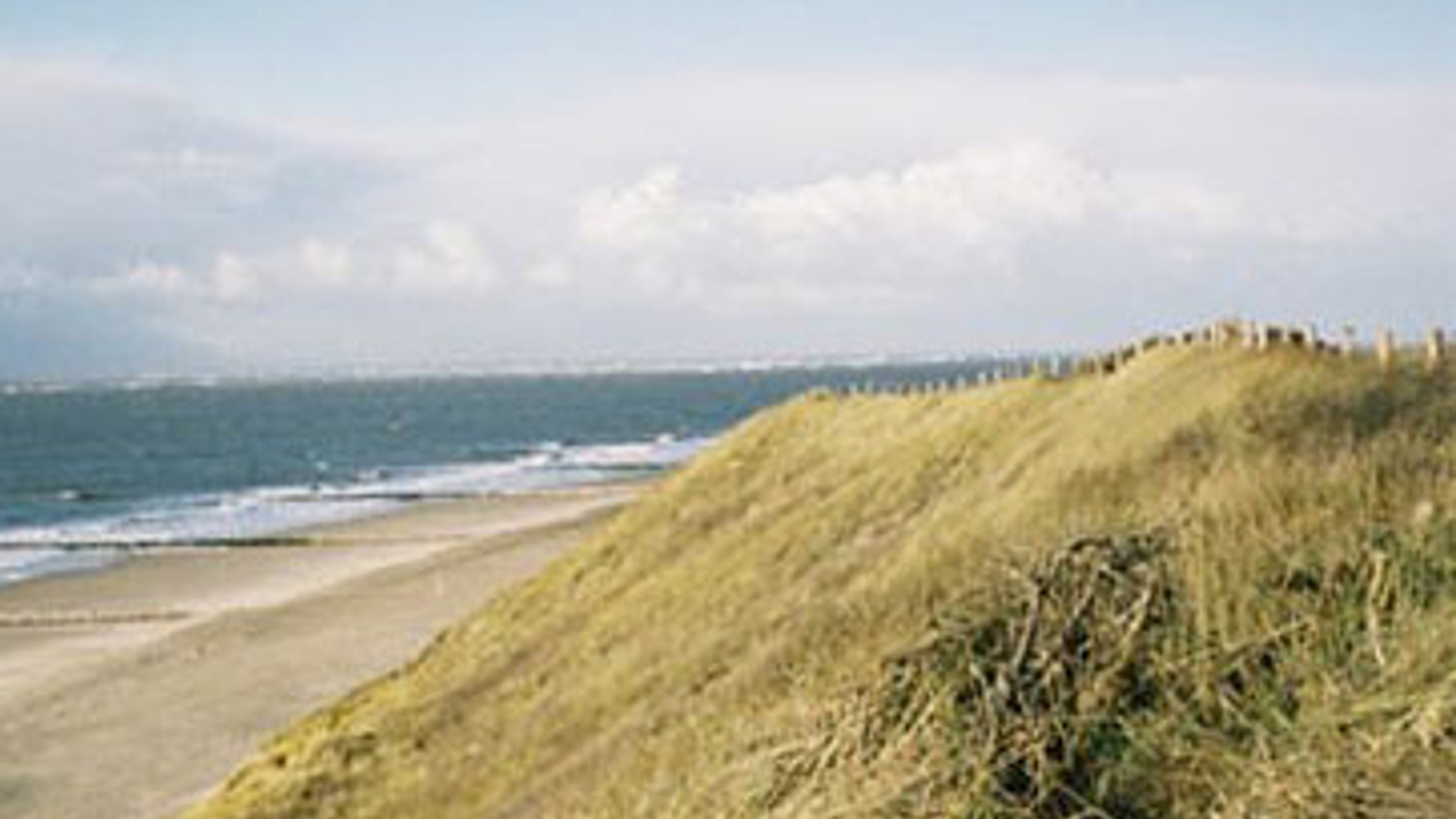 vv_newsimg_110266.jpg