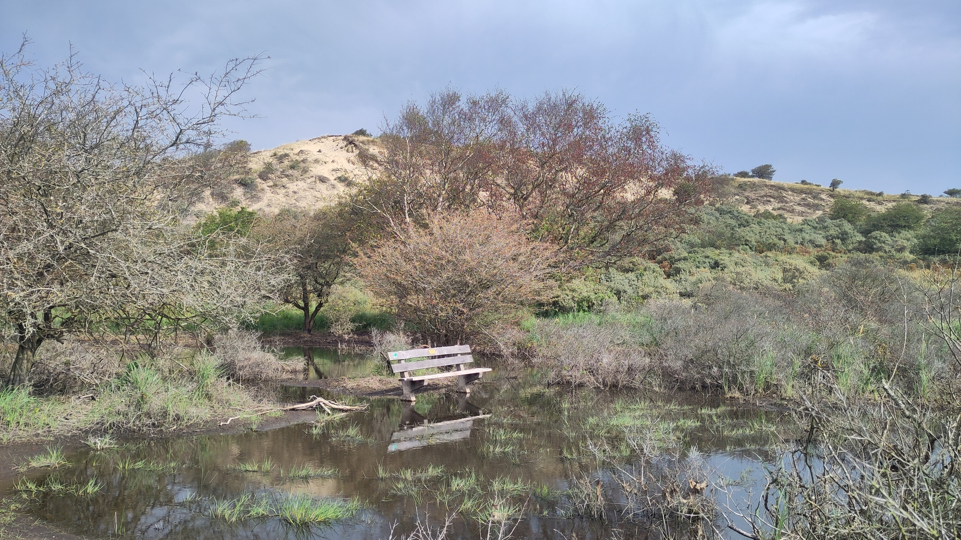 Grondwater Kennemerduinen