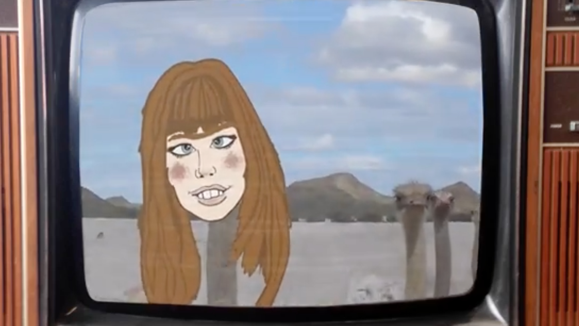 Birkin bag parodie
