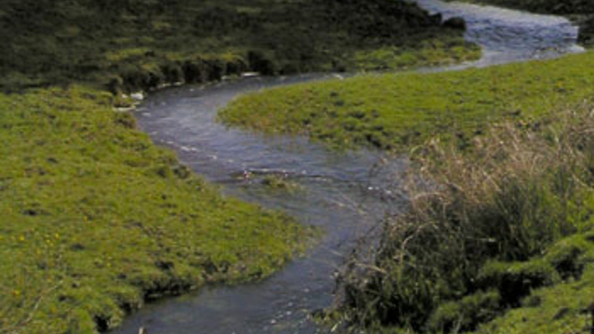 vv_newsimg_172923.jpg