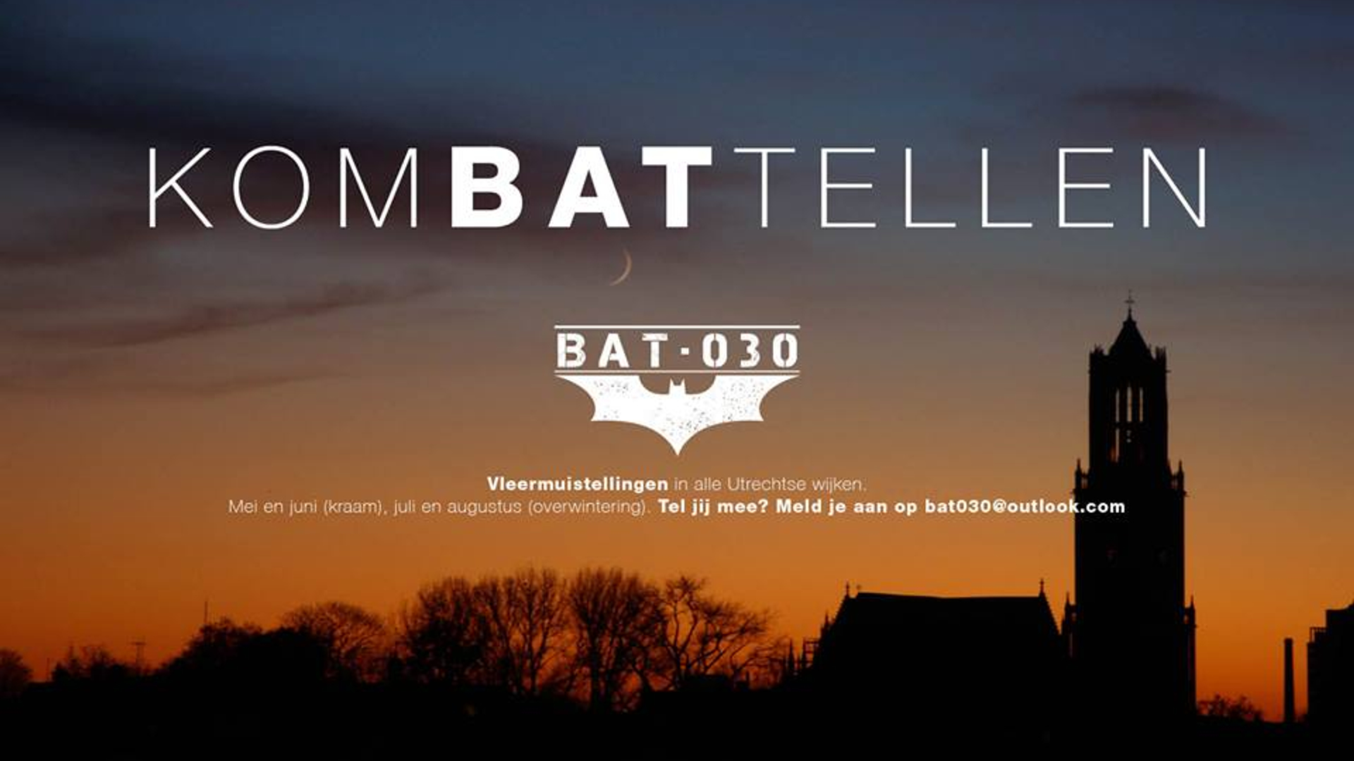 BAT030.jpg
