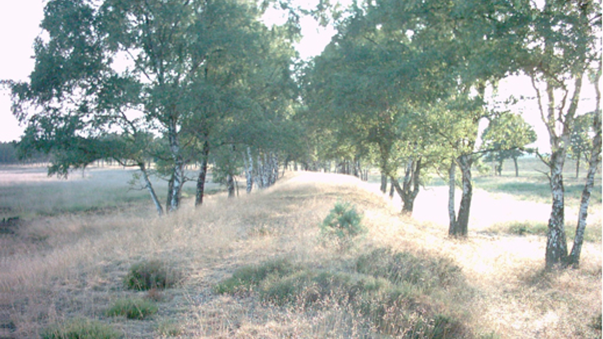 Bommenlijntje, Nationale Park de Hoge Veluwe