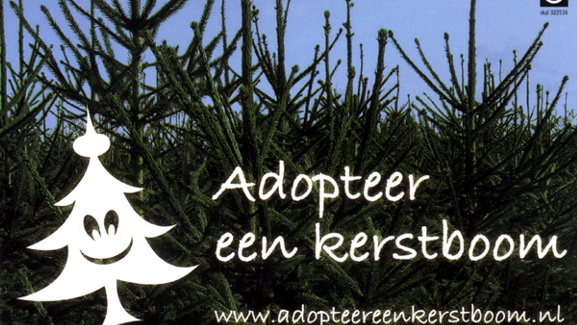adopteereenkerstboom_02.jpg