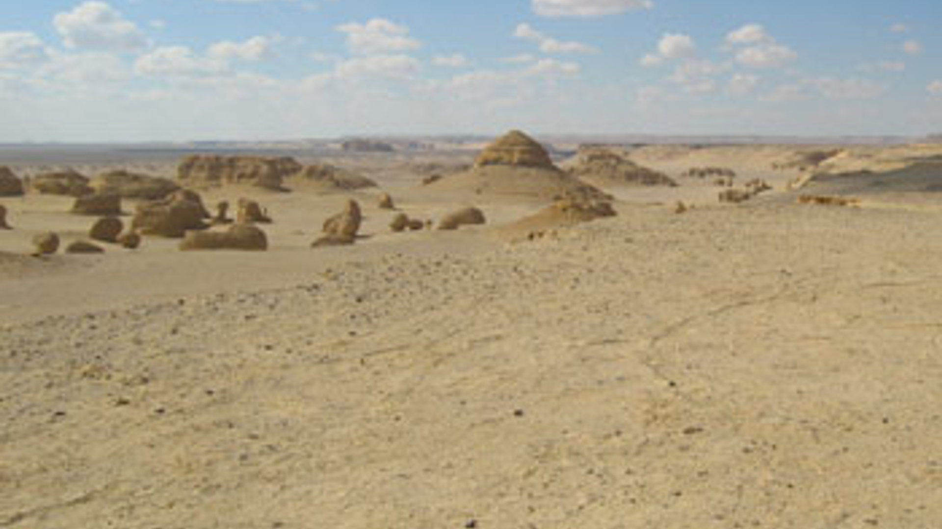 vv_newsimg_330035.jpg