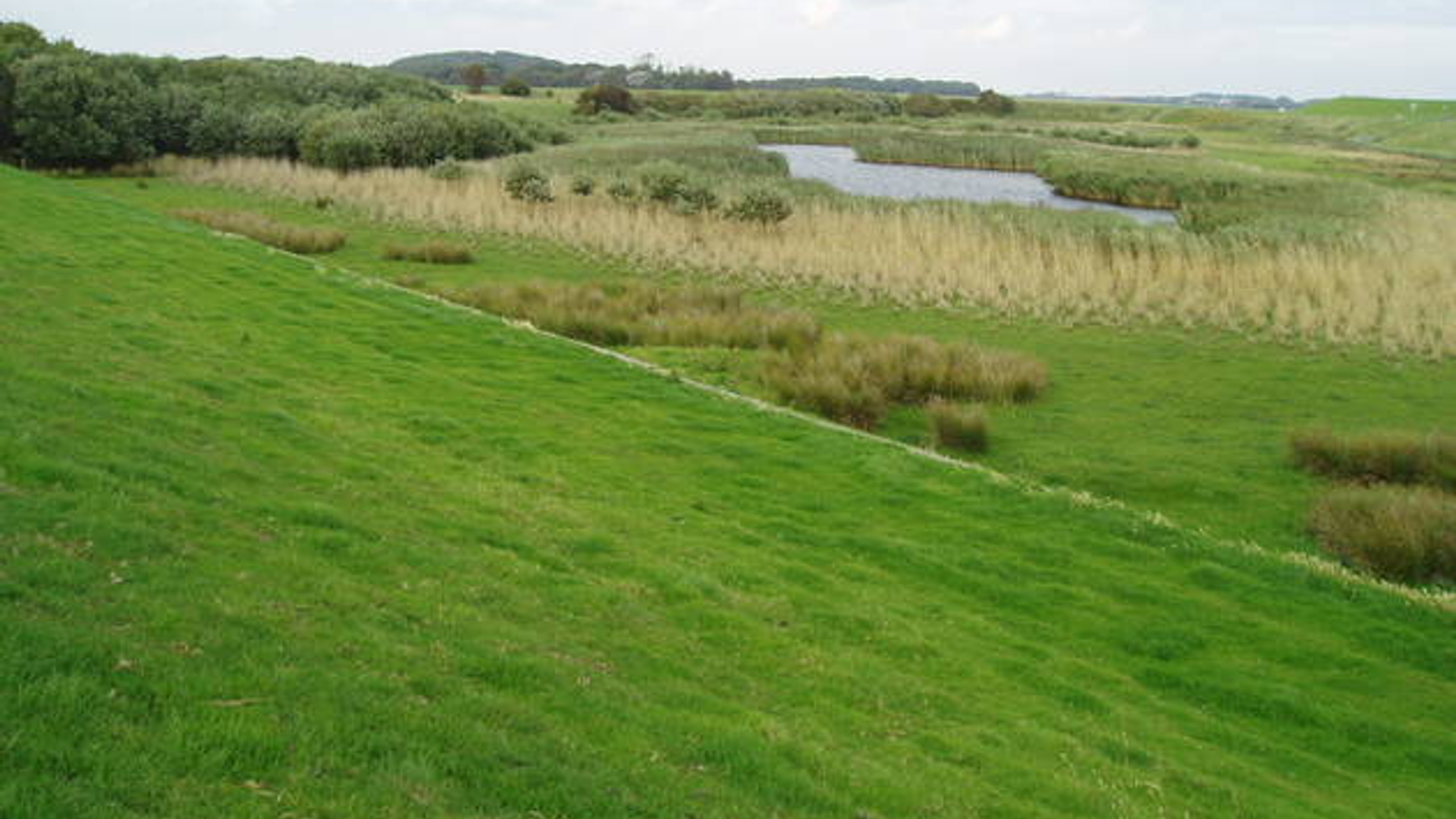 texel_08.jpg