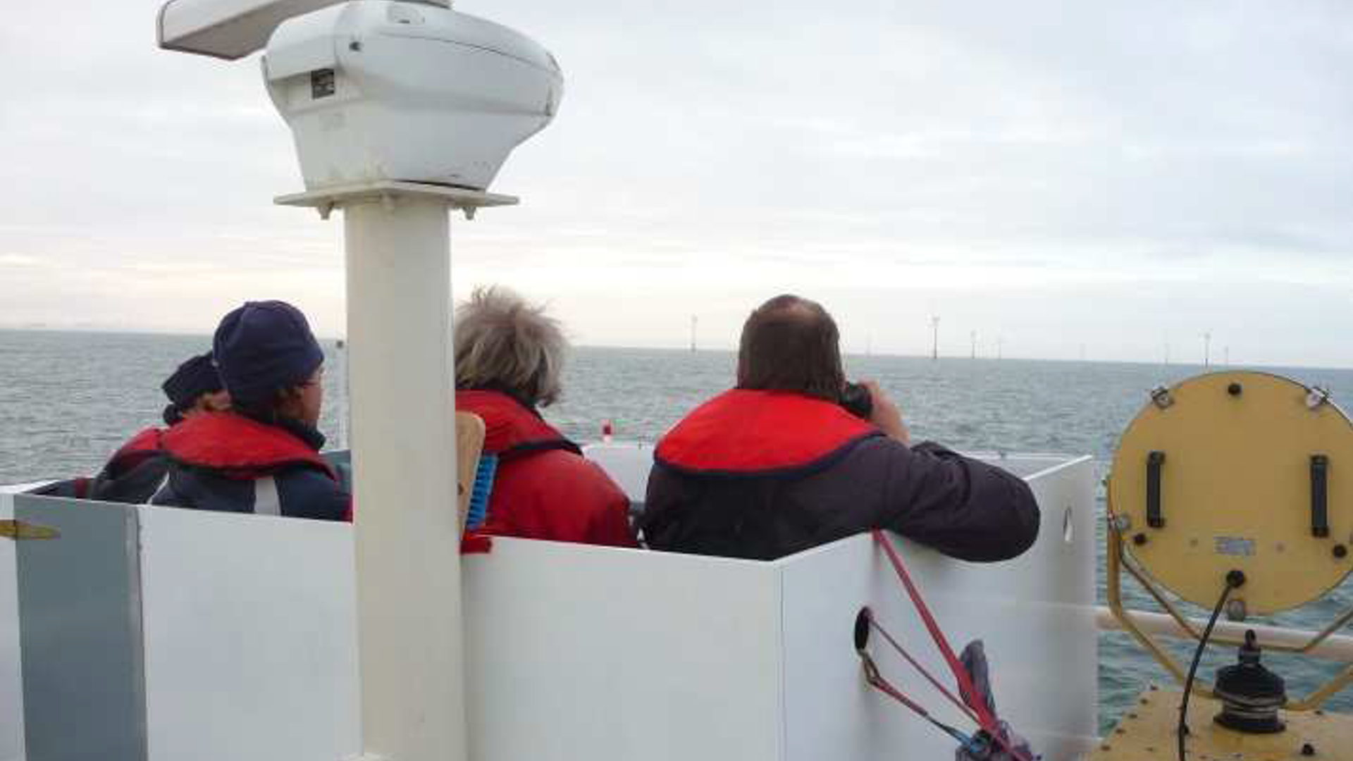 eneco_wind_tellers.png