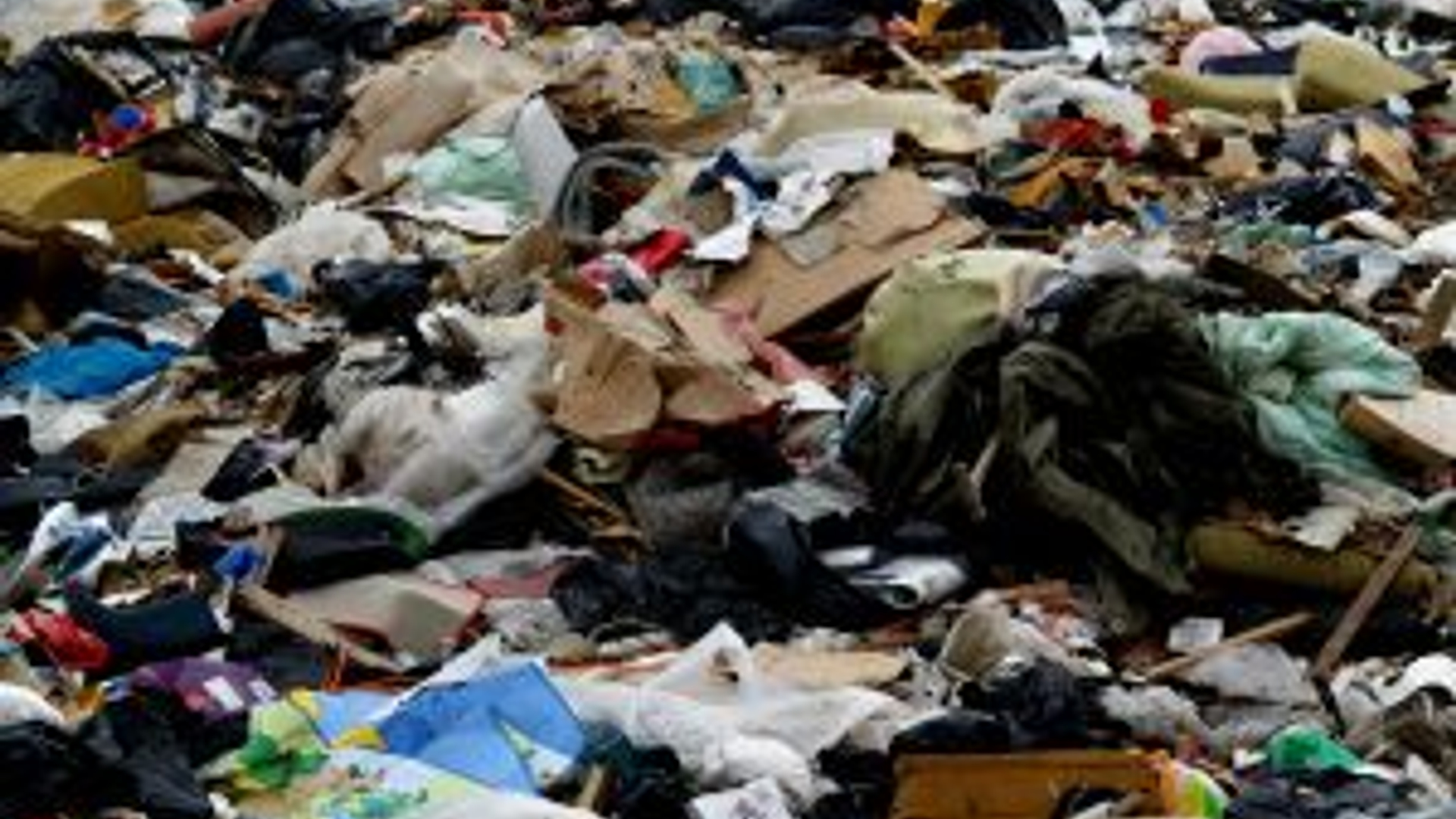932064_city_dump.jpg