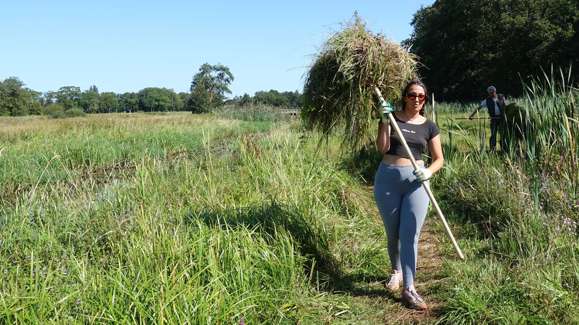 Griekse Irini help Nederlands Staatsbosbeheer, namens SIW