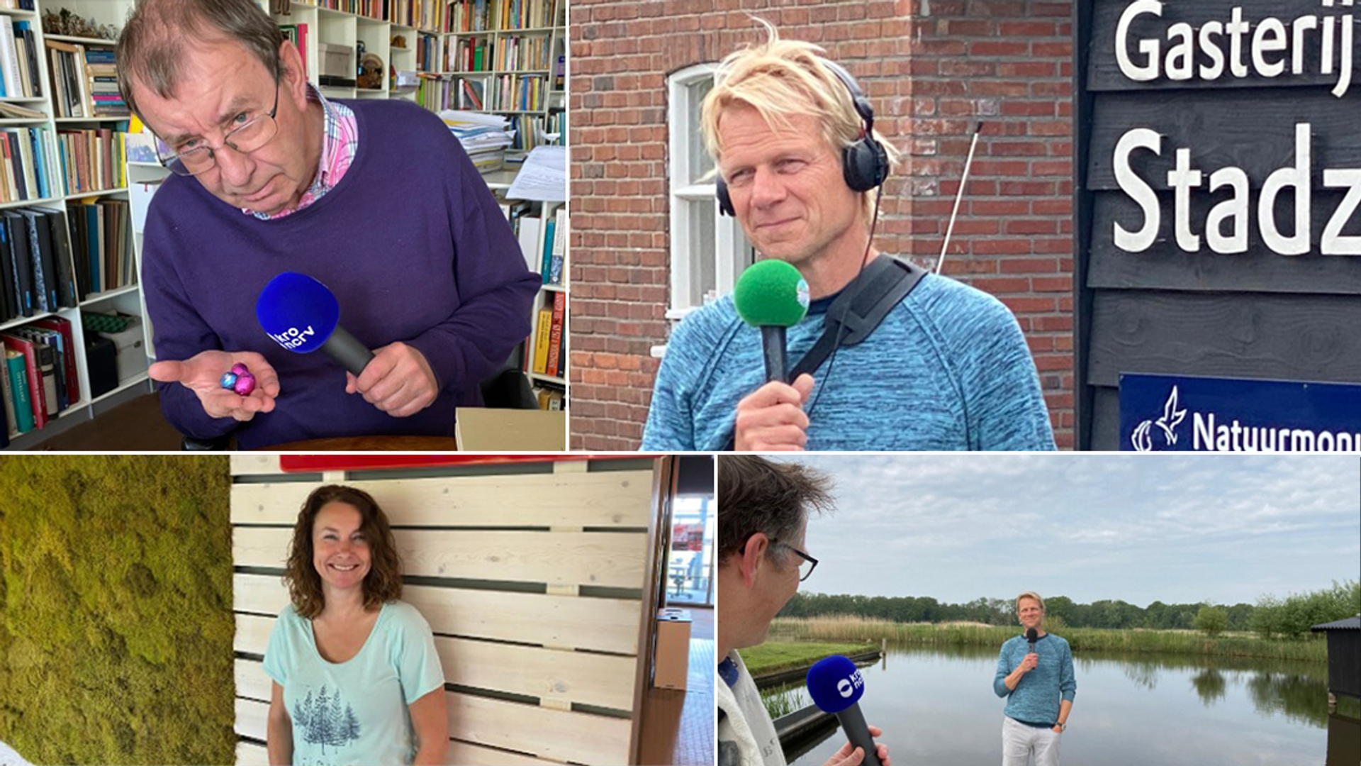 collage-Vroege-Vogels