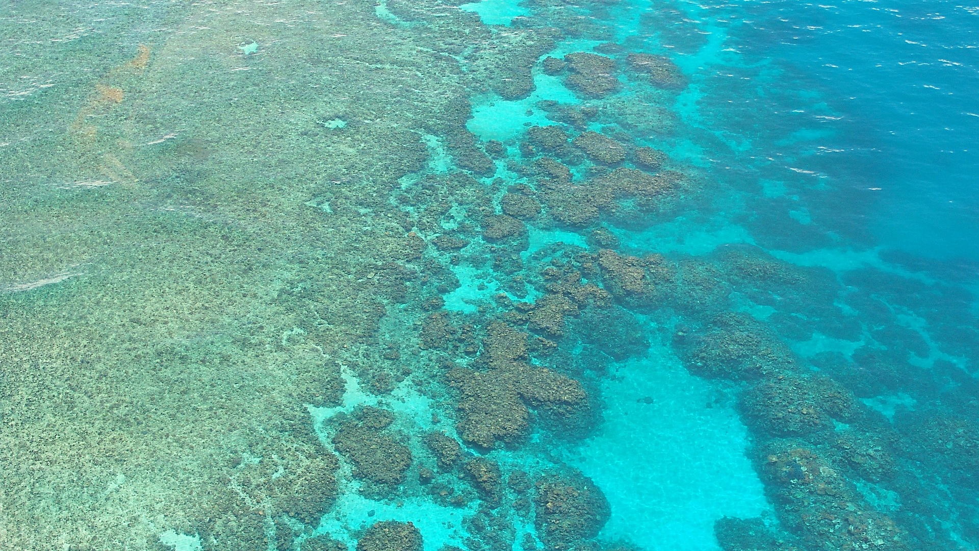 great-barrier-reef-261727_1920