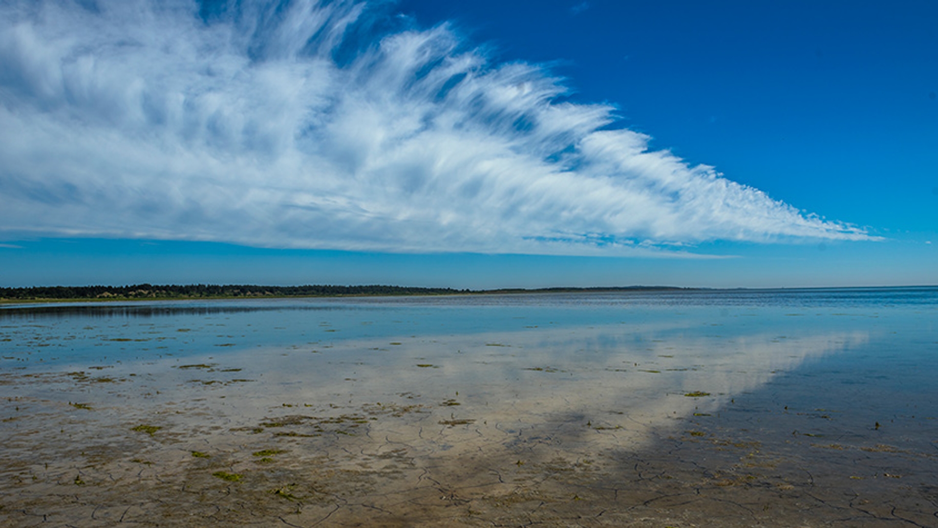 Vlieland