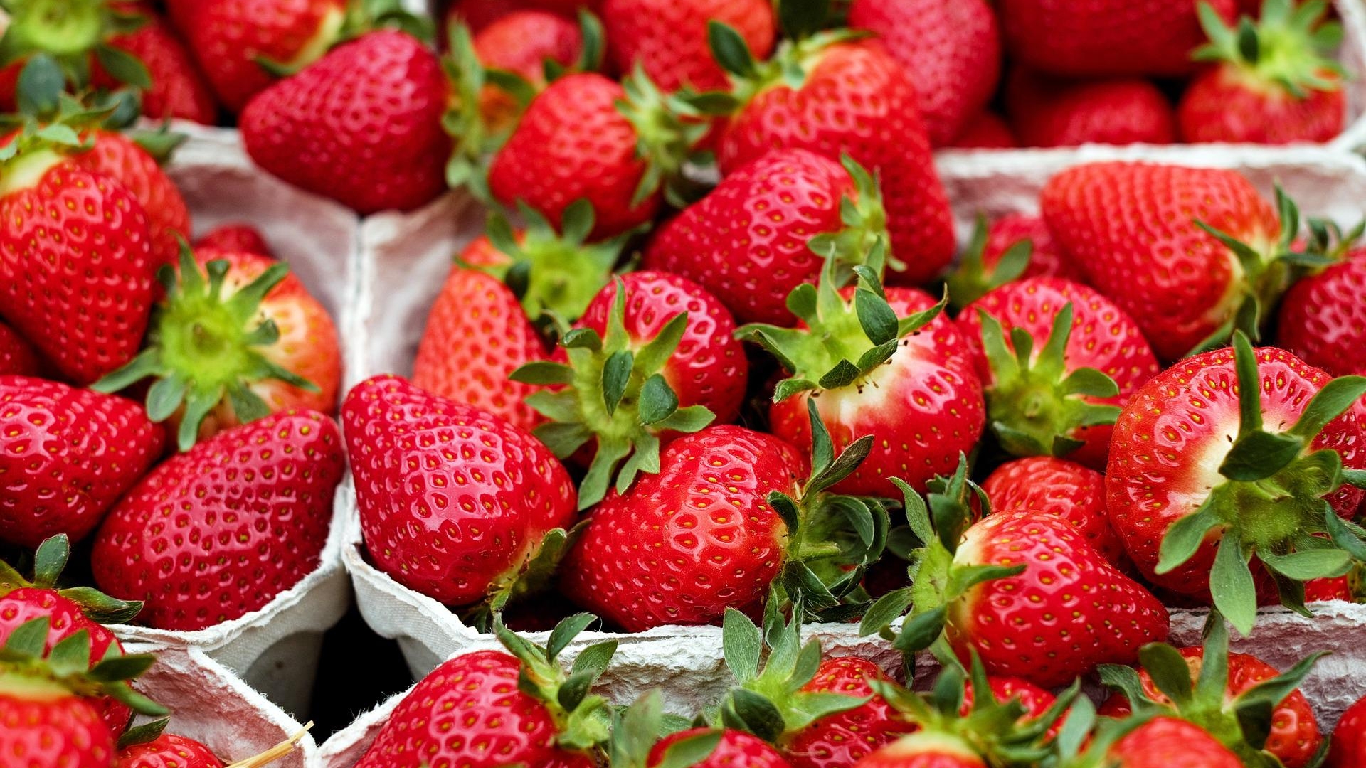 strawberries-gec6fe4fda_1920 aardbei