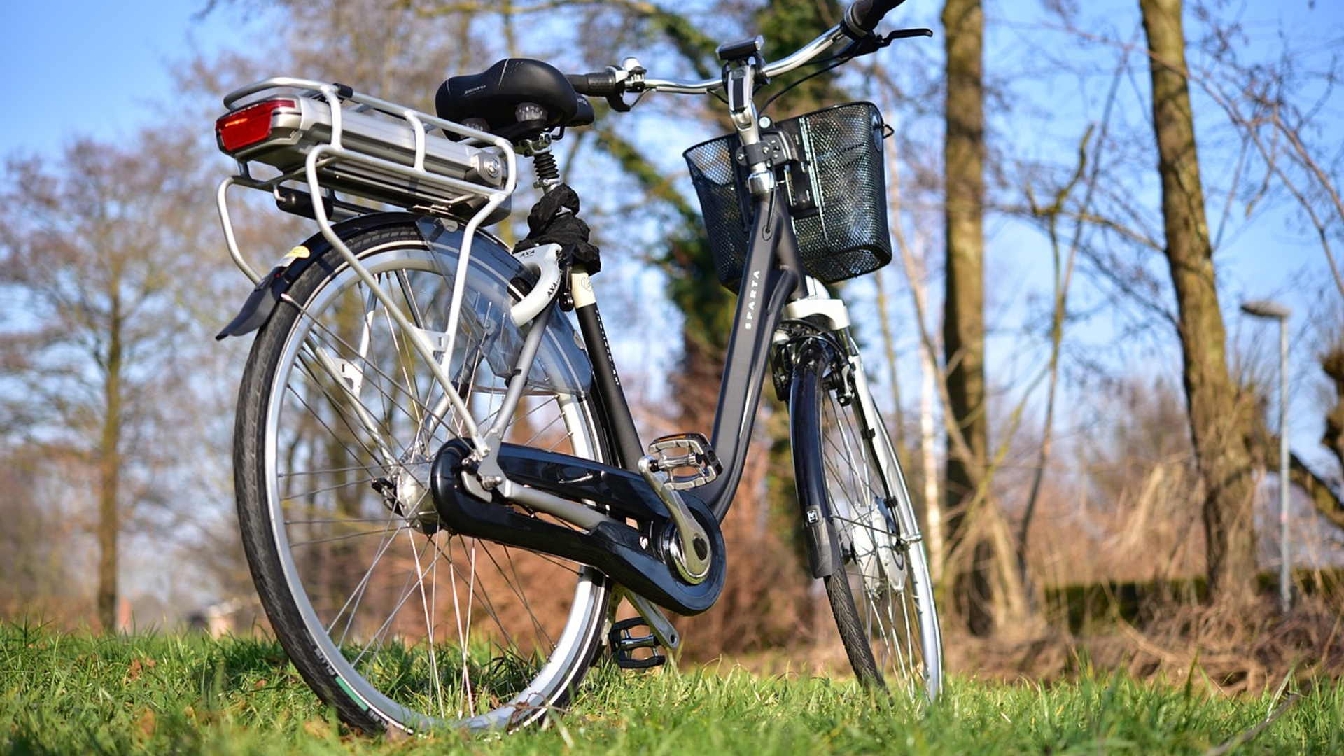 fiets eiken e-bike