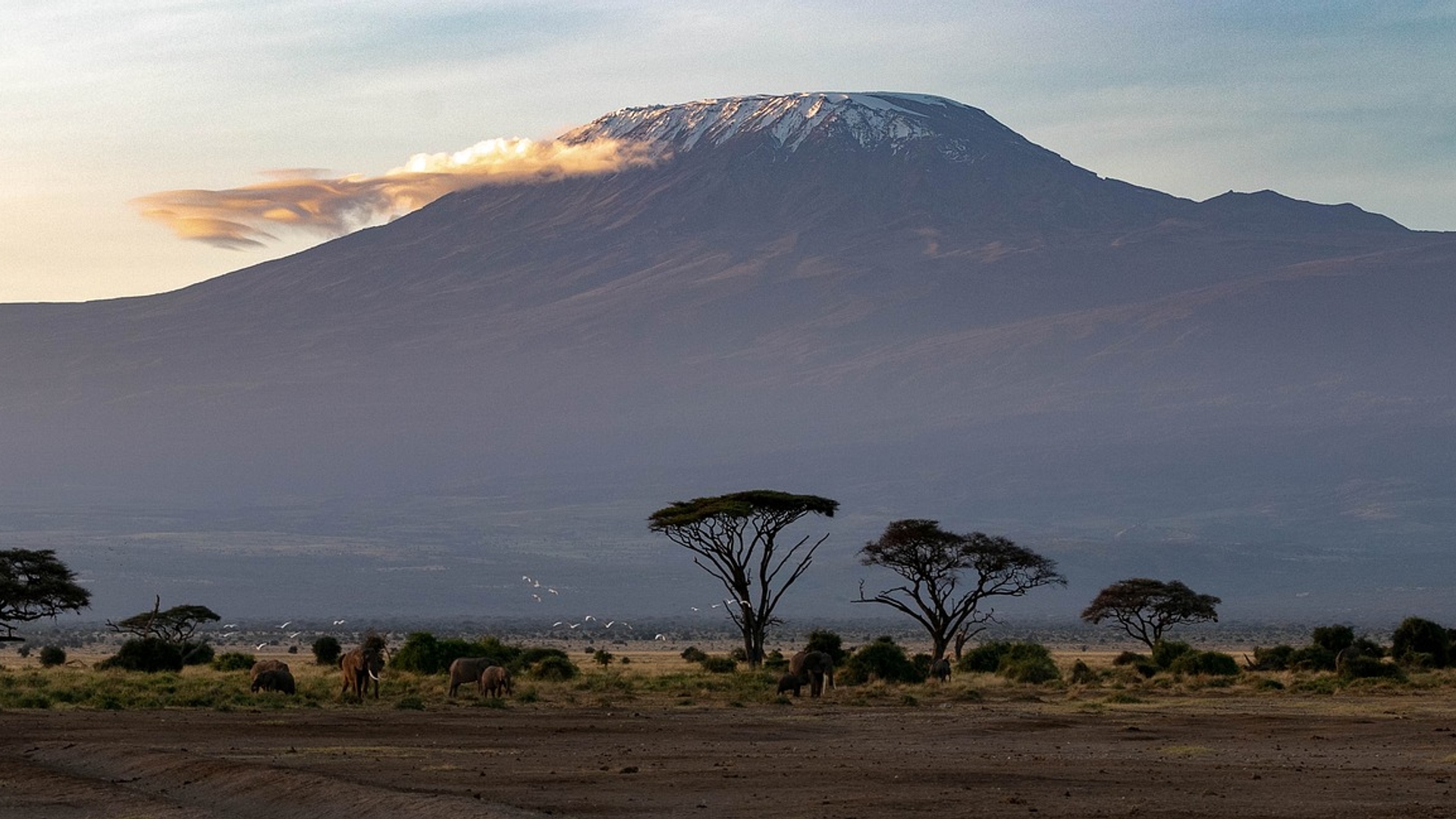 africa-kilimanjaro--pixabay