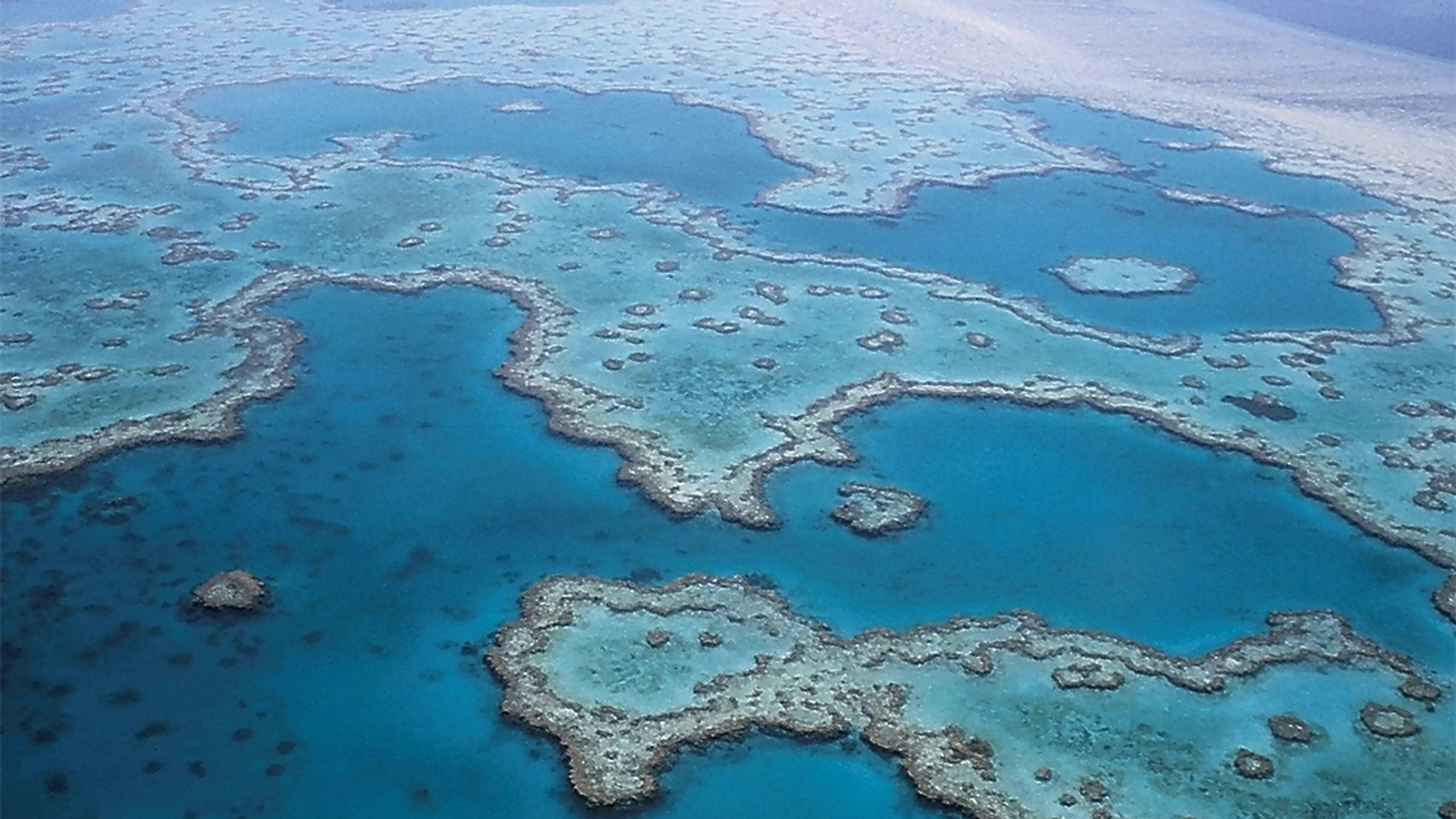 Great-barrier-reef-koraal_pixabay