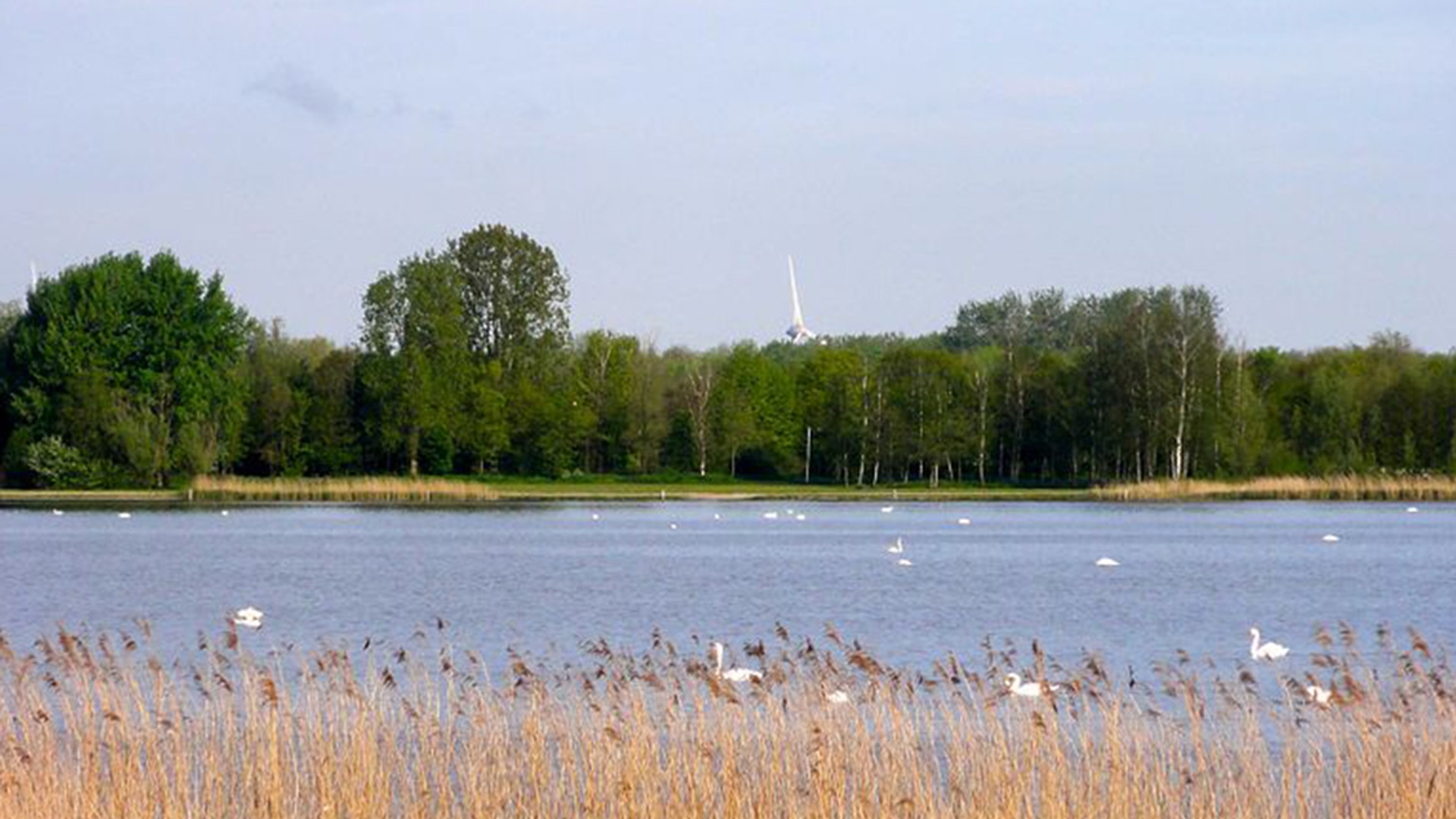 veluwemeer-site