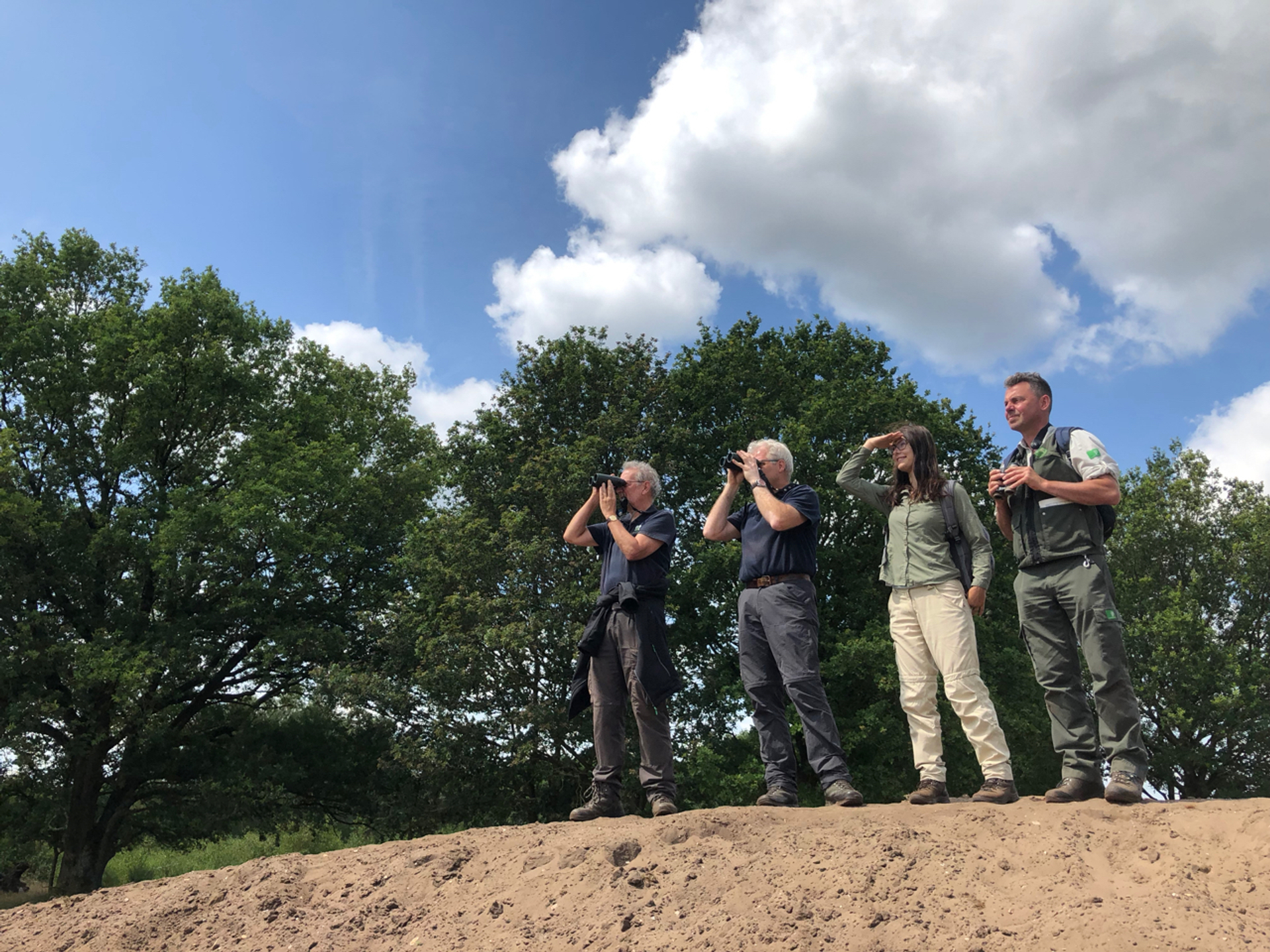 Toon Voets, Jos van der Wijst, Sarah Mahie en Marc Poulussen, Maashorst