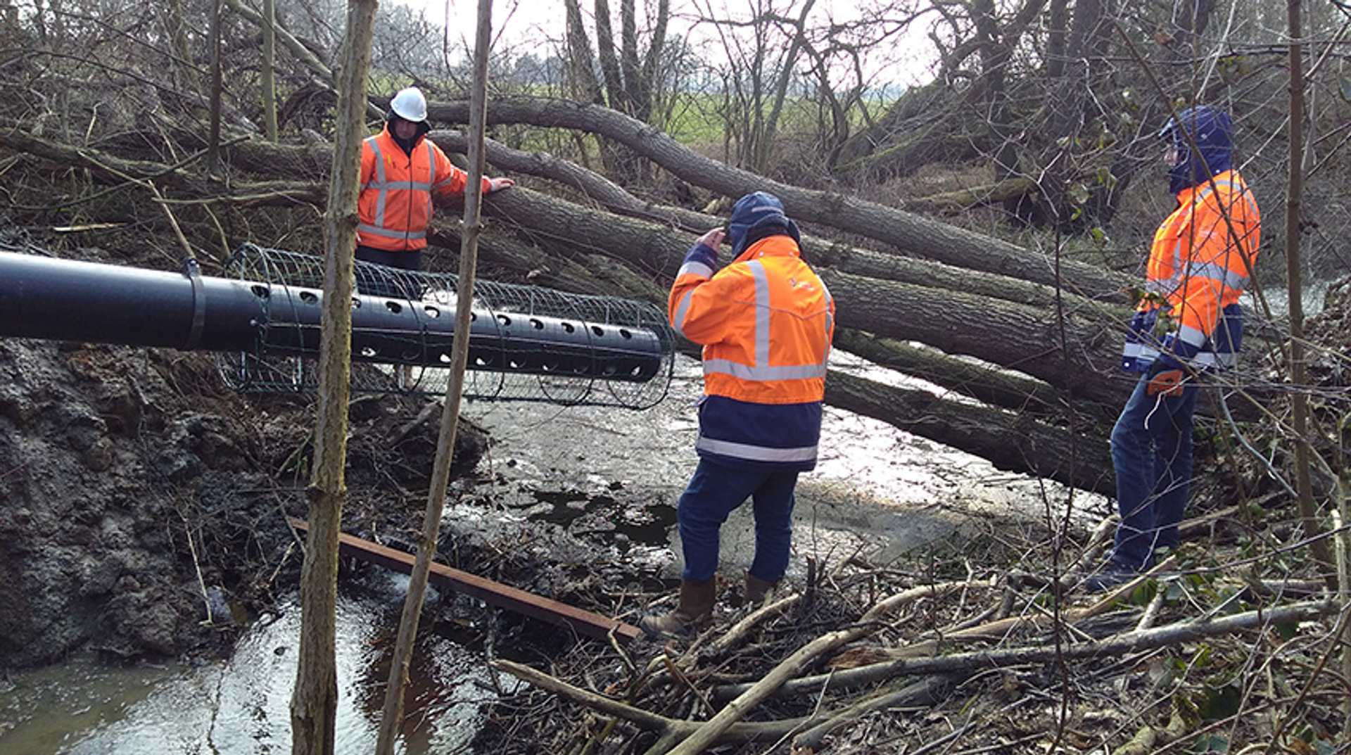 Bever beaver deceaver