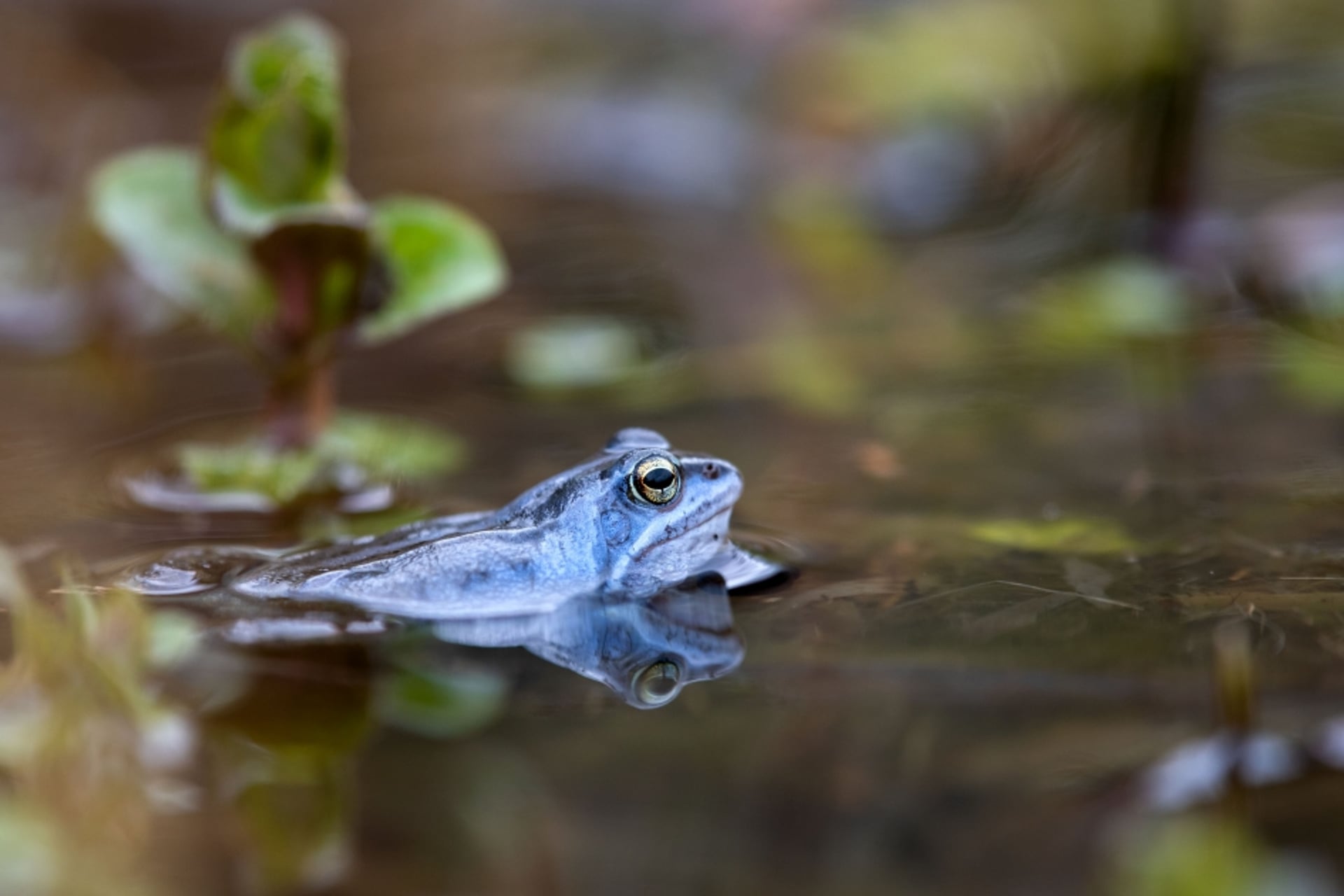 heikikker_5c9c75e046a5d_medium