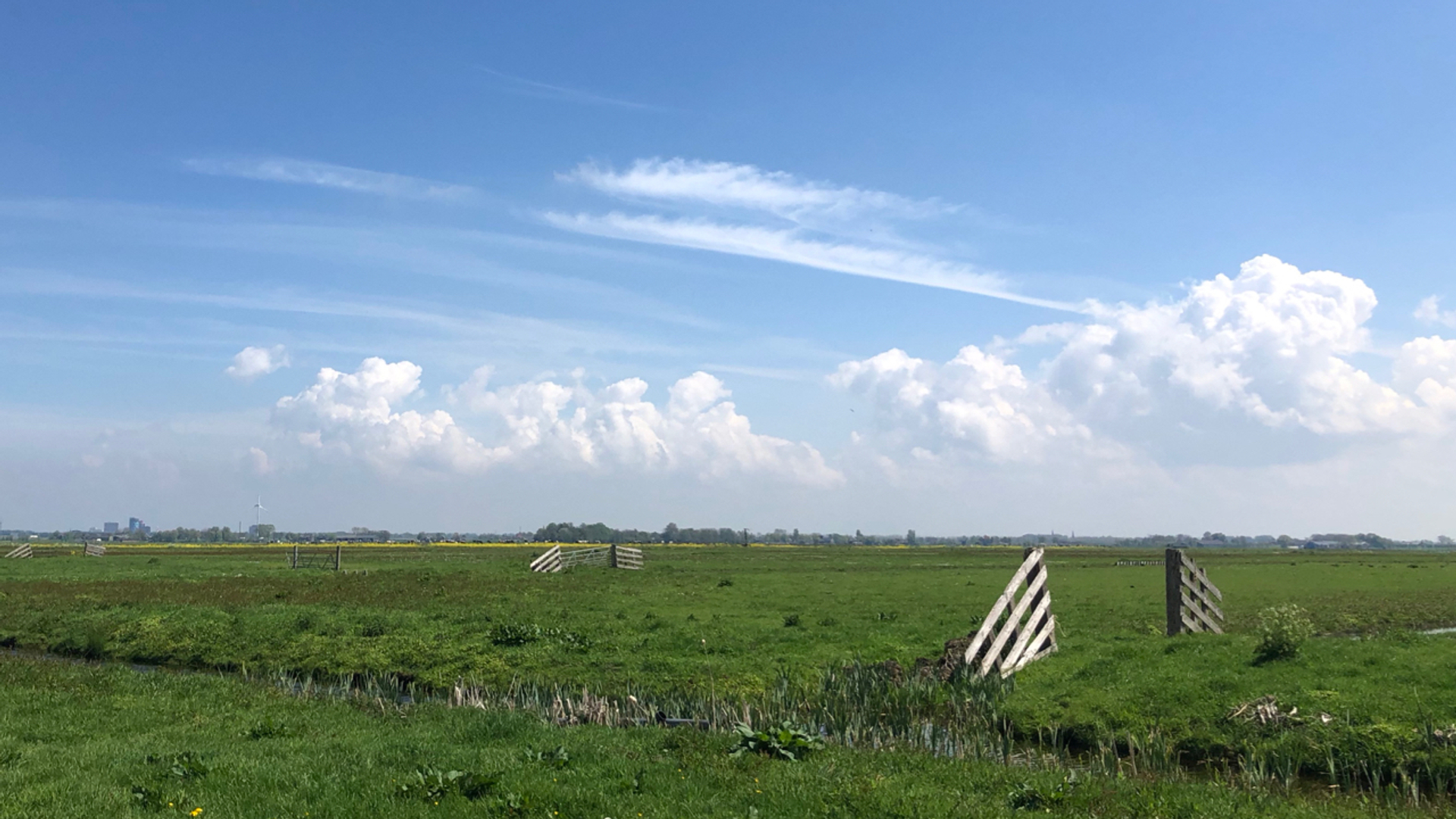 Polder Ronde Hoep (c) Rob Buiter