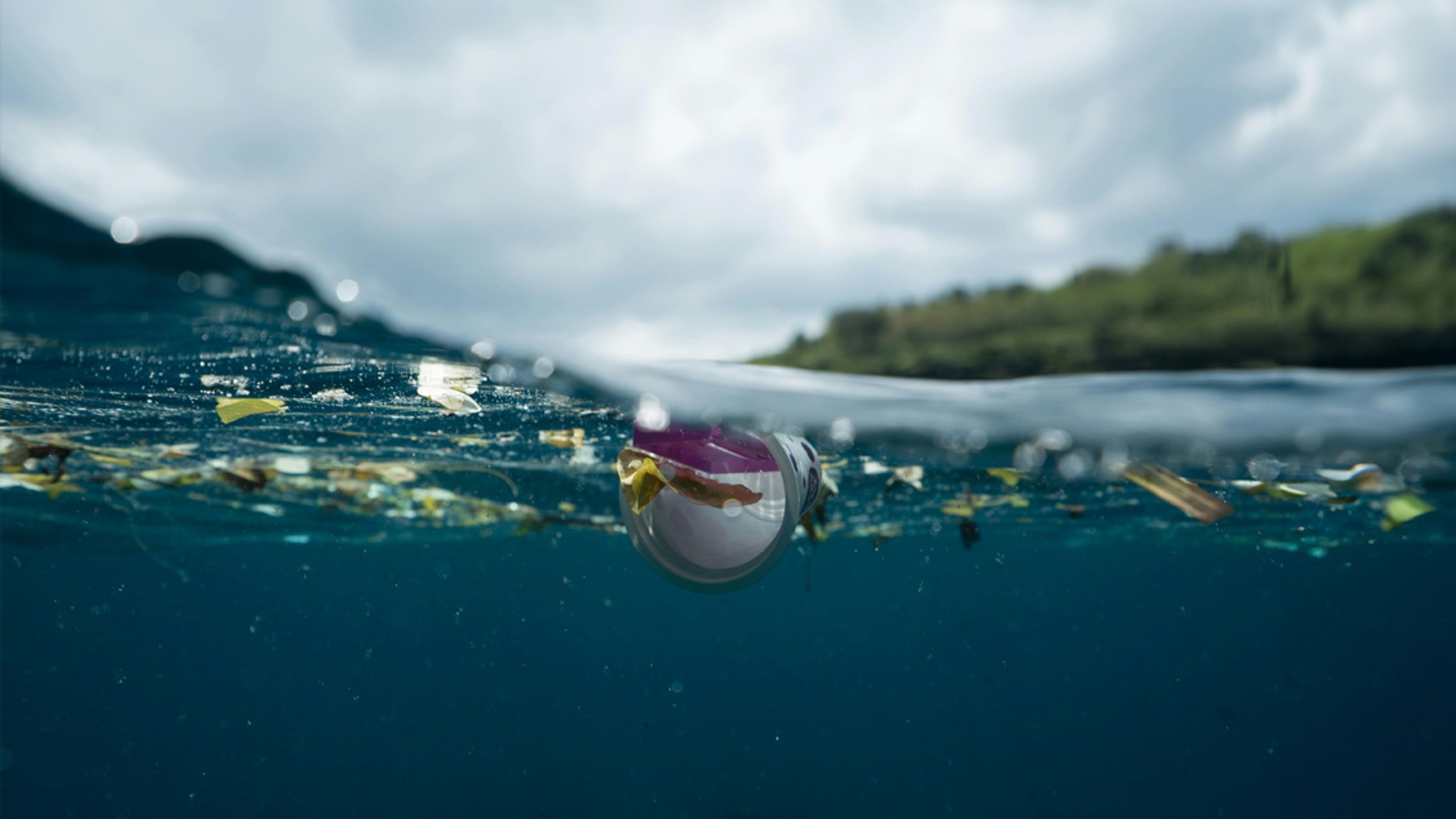 Researchers uncover fungus that stops plastic air pollution – Early Birds – BNNVARA