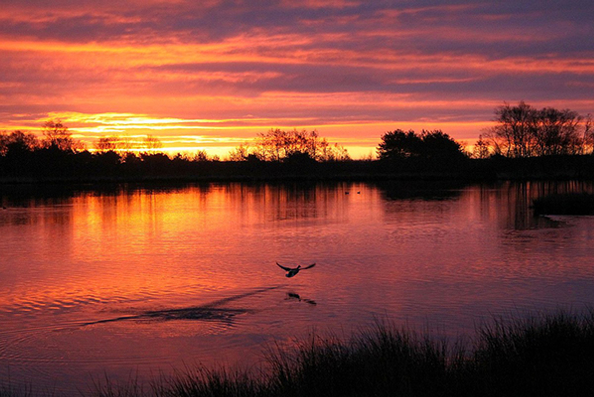 Zonsopkomst1_jokenijenhuis