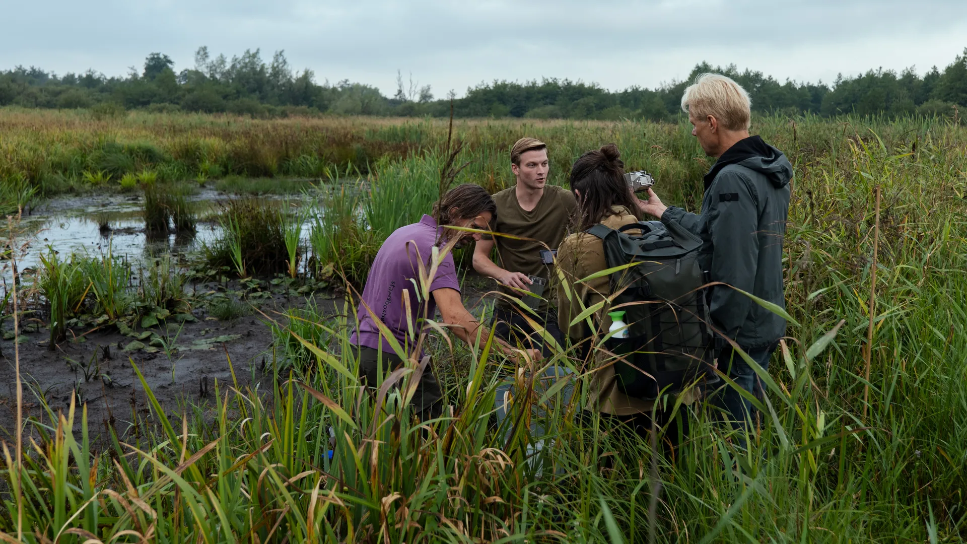 Rover van het moeras: de waterspitsmuis - Vroege Vogels - BNNVARA