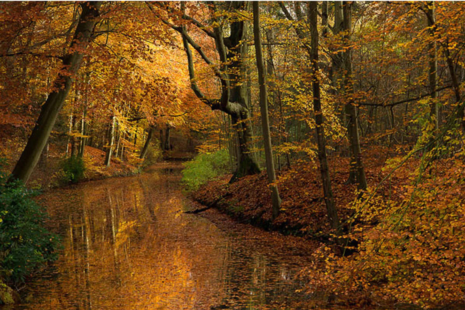 Herfst1