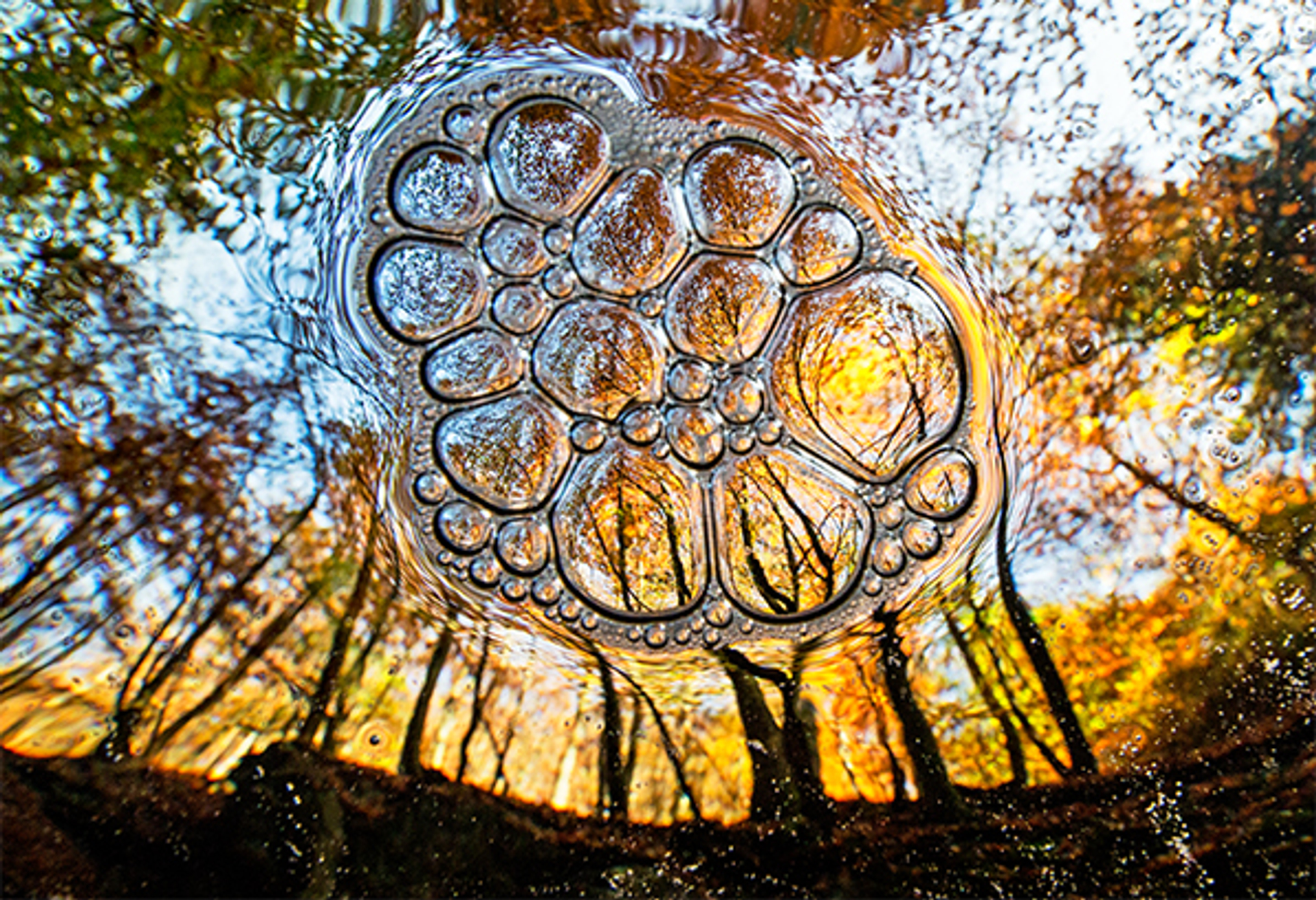 herfstbld_TheoBosboom