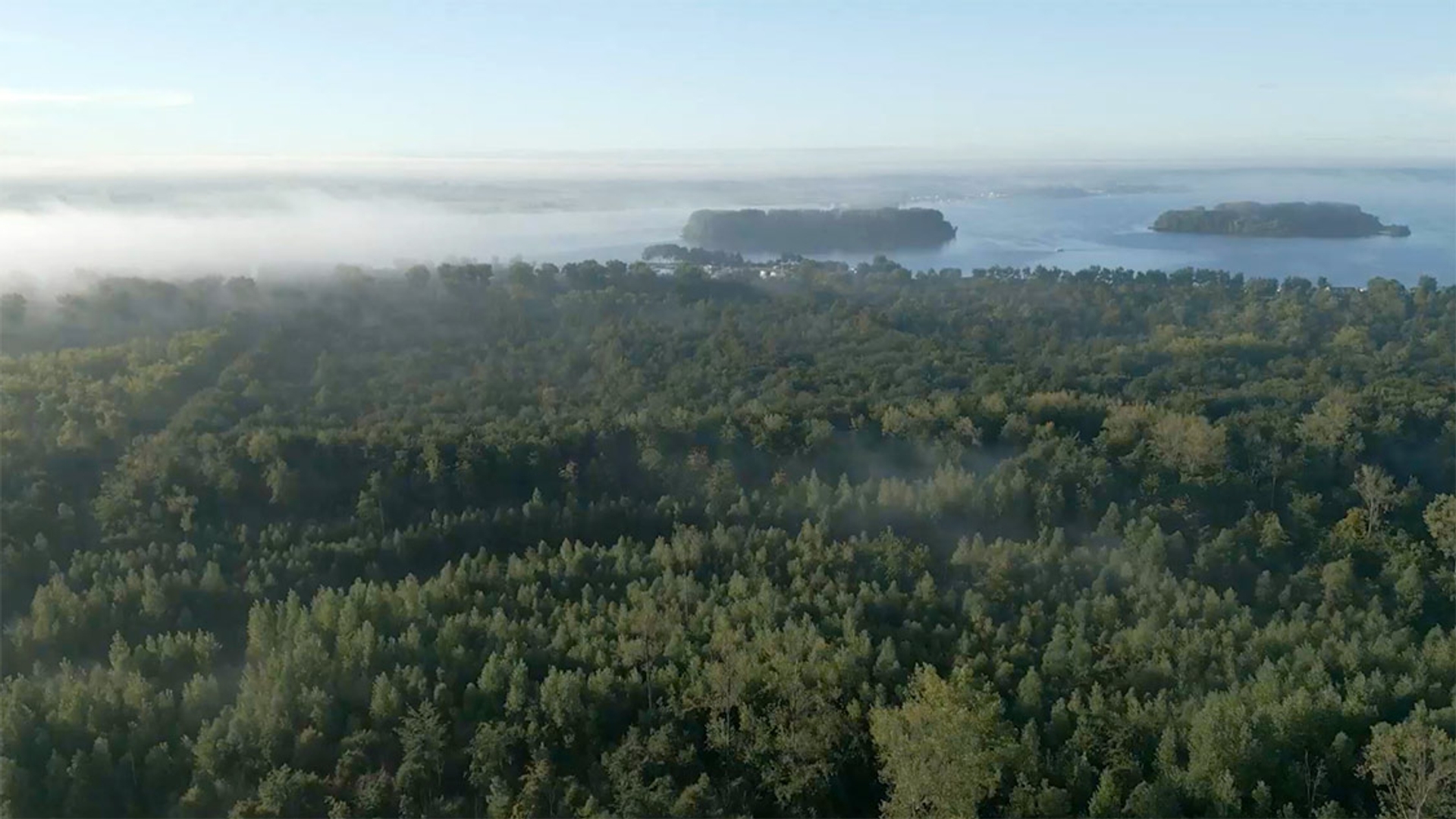 Afbeelding van Sterkte toename van stikstof in bodem Nederlandse bossen